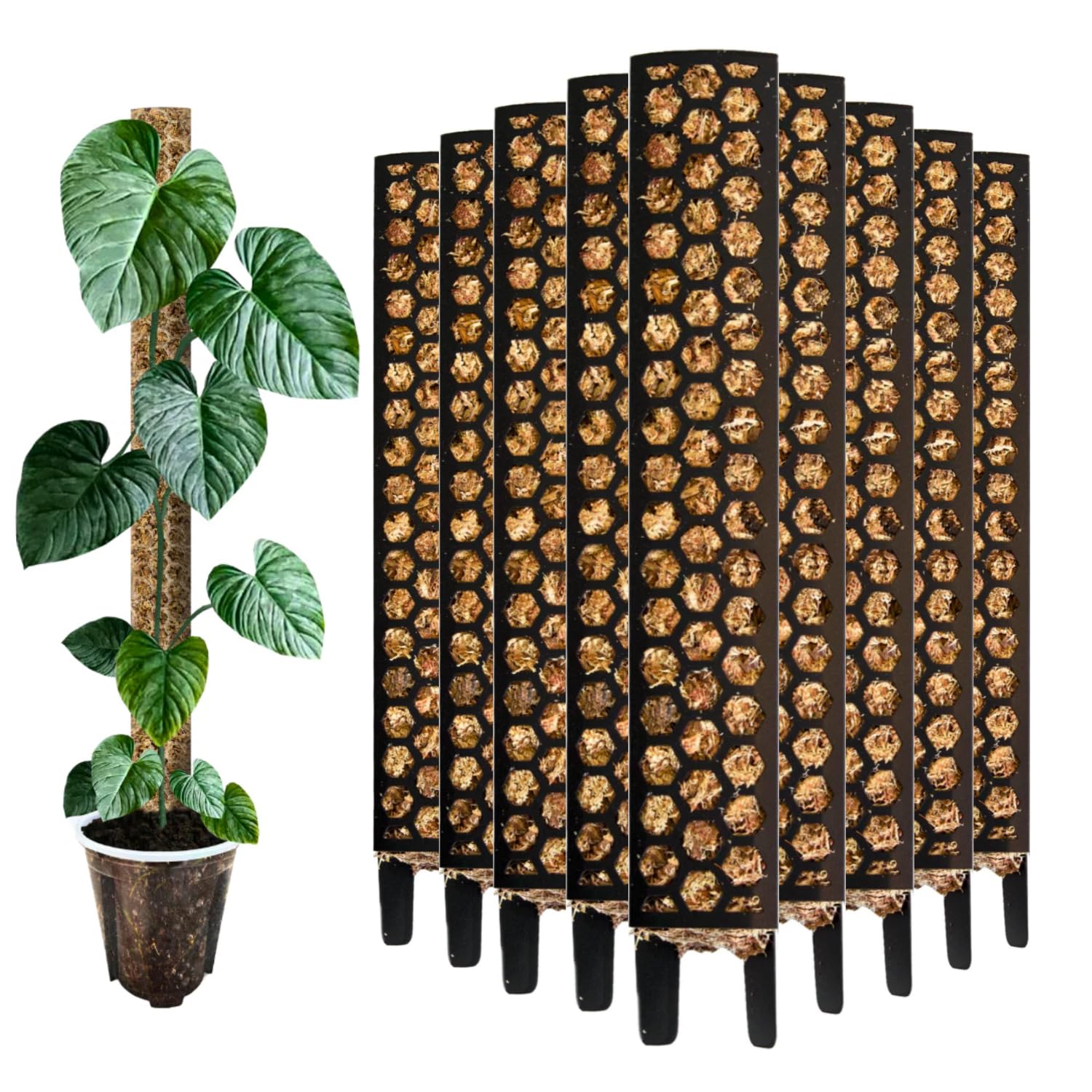 Moosstab 35 cm (M) 10 Stück, Schwarz – Moss Pole, erweiterbare Rankhilfe für Monstera & Kletterpflanzen, Pflanzenstab für Indoor Pflanzen