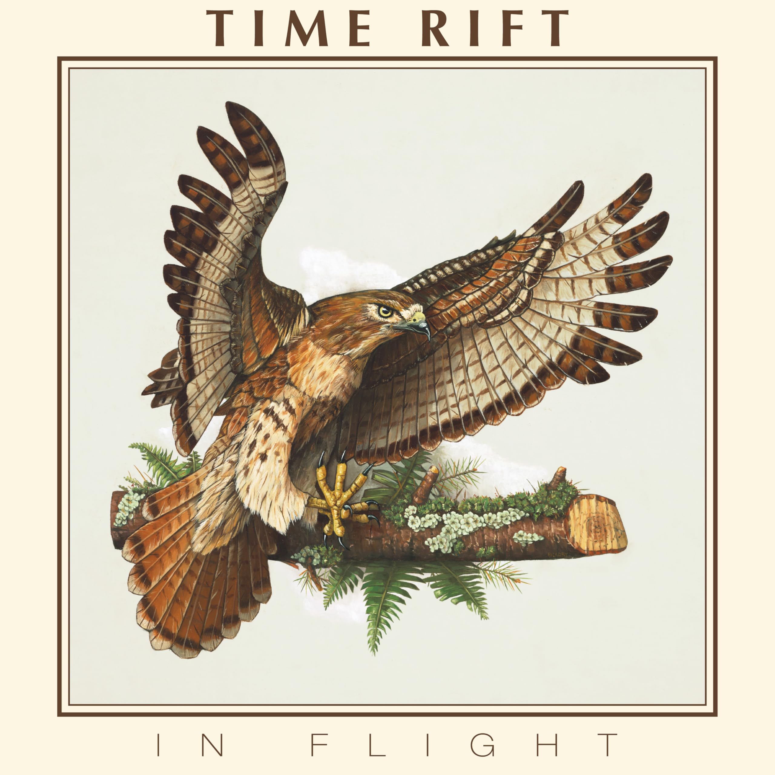 In Flight [VINYL]