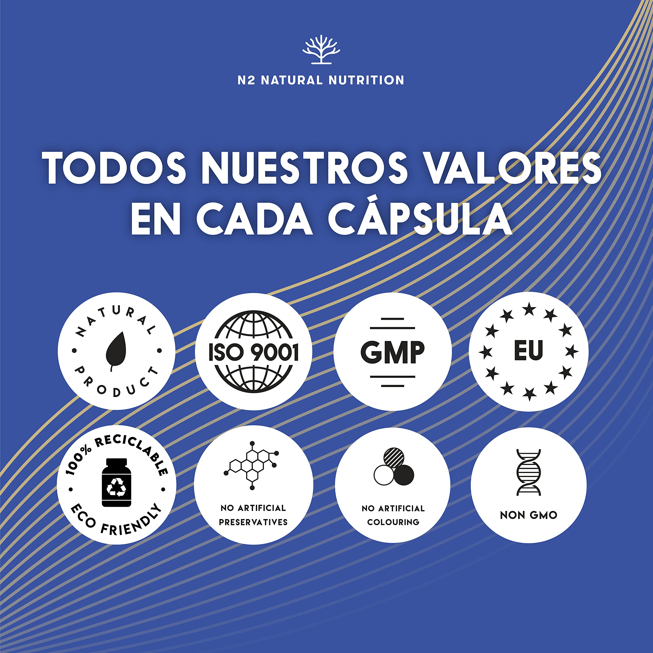 L CARNITINA 100% Natural 2000 mg, Quemagrasas Potente Para Adelgazar, 150 Cápsulas 75 días, Pre Workout Gym, Mejora Energía, Resistencia y Rendimiento. Sin Azucar. N2 Natural Nutrition