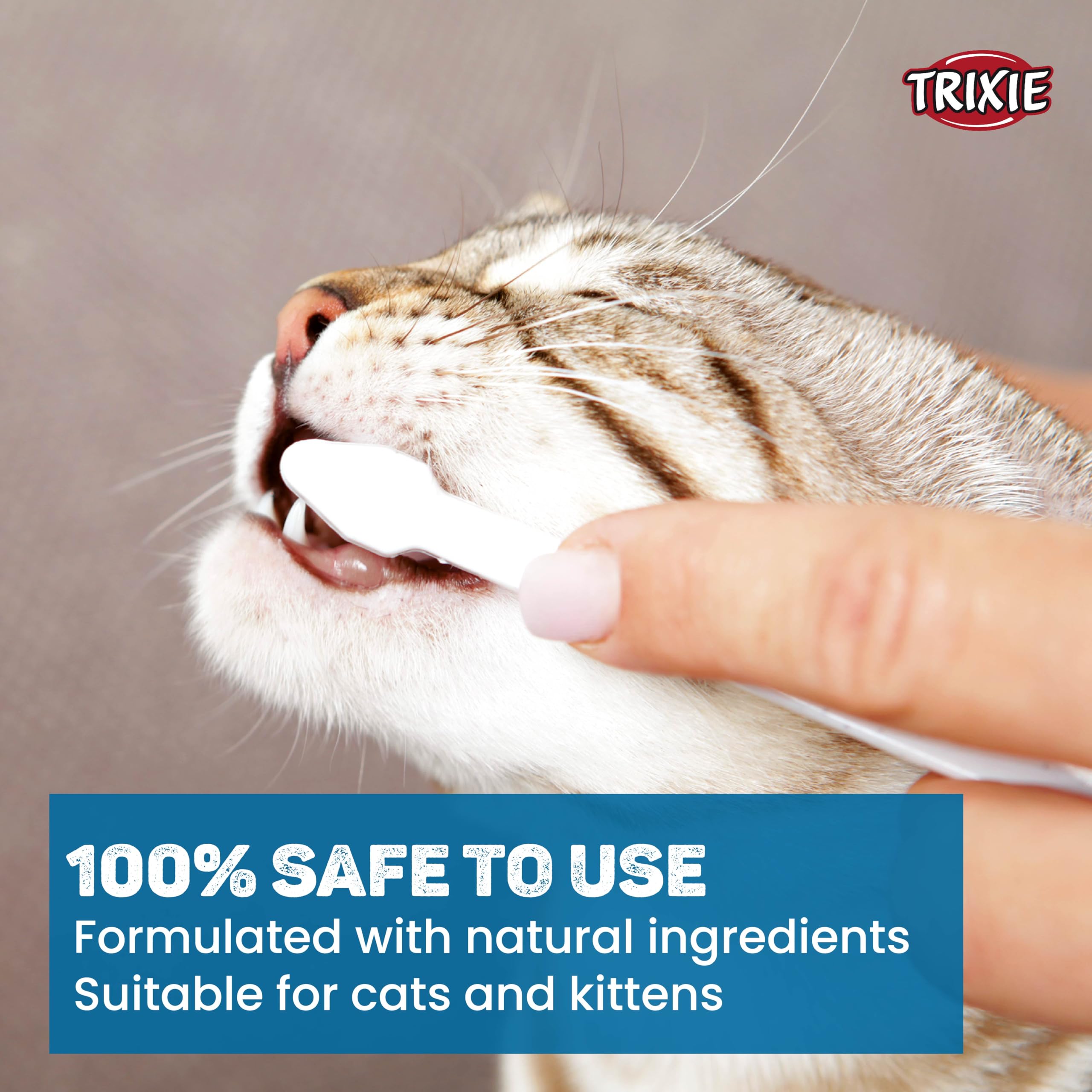 Mega Combo Pack- Cats Dental Hygiene Set-Cat Toothbrush and Toothpaste with Wild Cat Scratching Cardboard | Offer Your Kitty The Possibility to Play & Act Out| Supports Claw Care - 41 × 7 × 24 cm 4