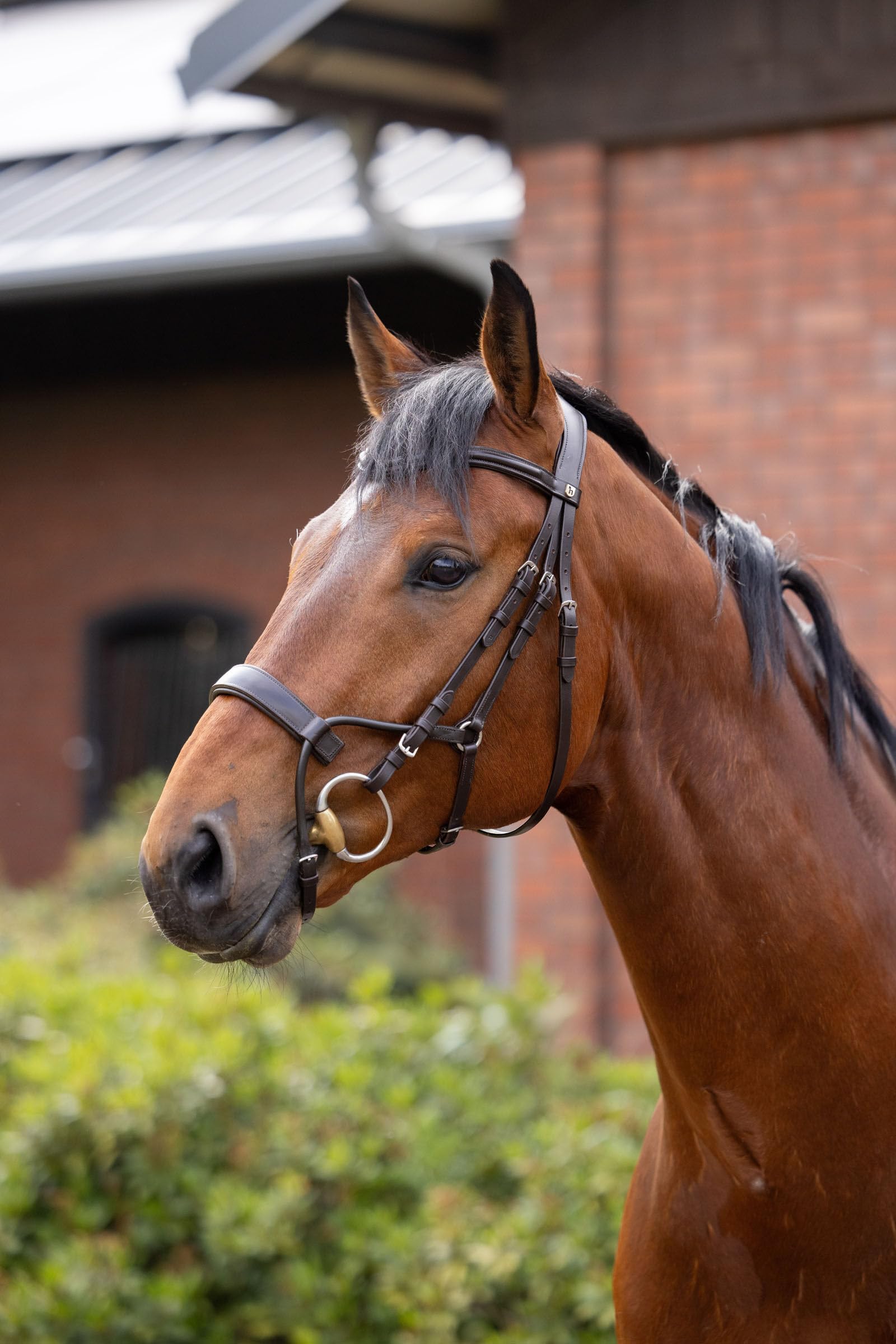 HORZE Caballos Trense CHIO