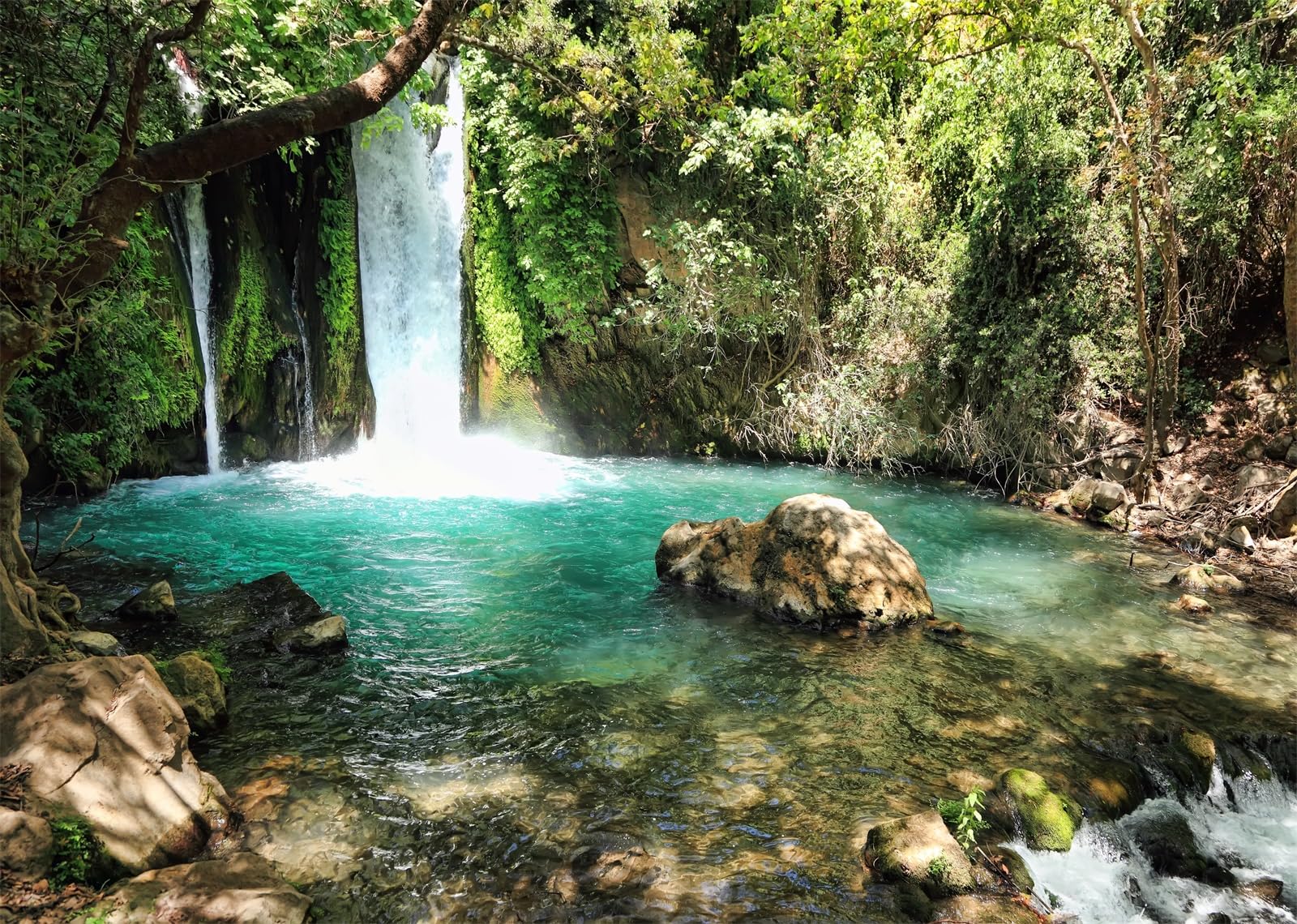 BELECO 4.6x3m Telo sfondo cascata | Fiume forestale rocce cascata paesaggio sfondo viaggio primavera decorazione festa studio fotografico