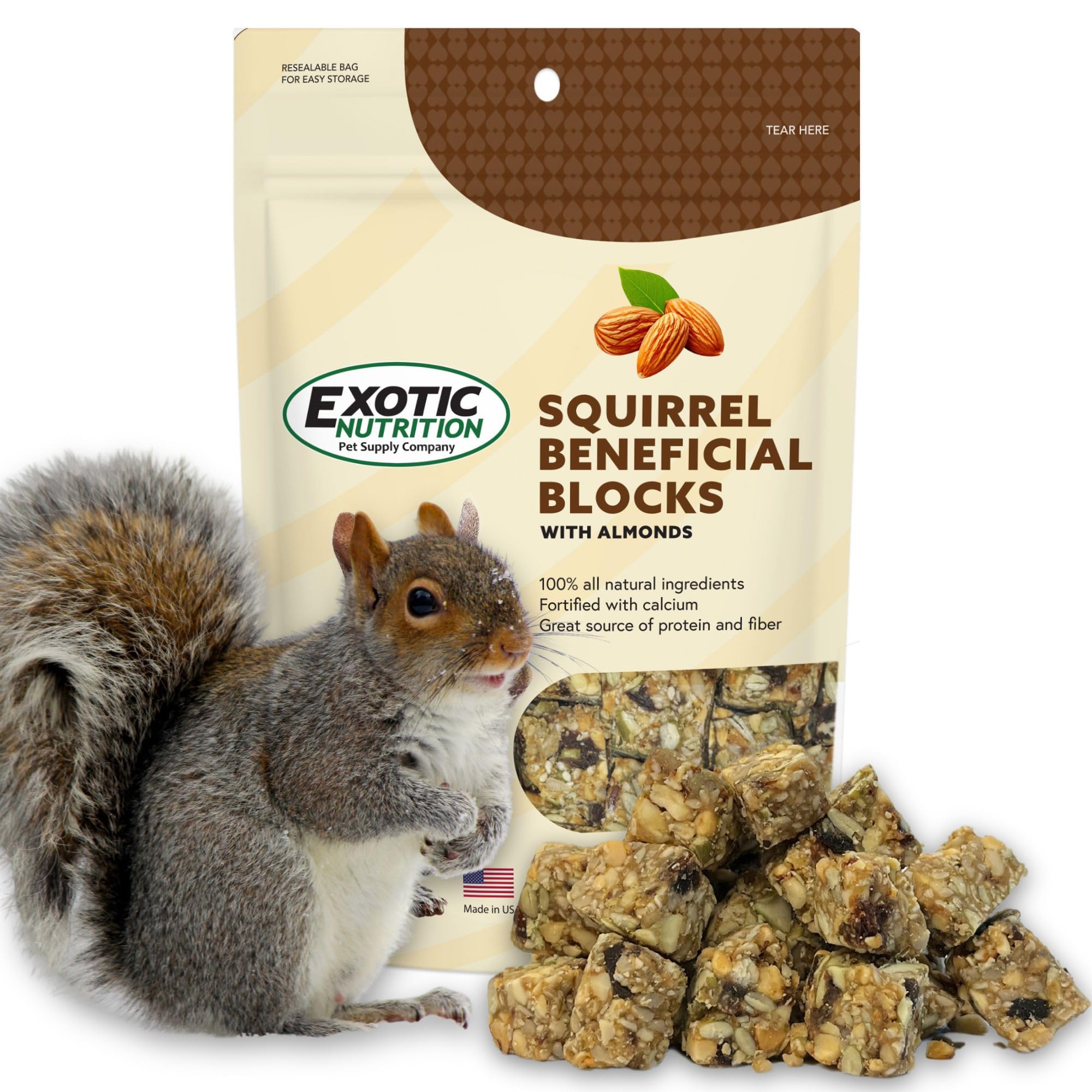 Exotic Nutrition Squirrel Beneficial Blocks - Healthy & Unique Supplemental Food with Nuts & Seeds, 10 oz