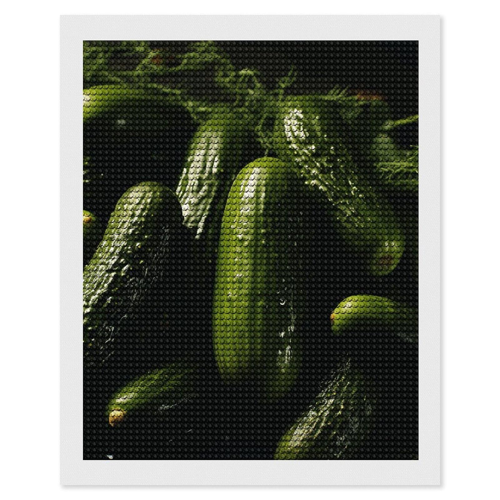 FekiLoot Pickle Diamond Art Kits for Adults, 5D Aurora Diamond Painting Kits for Beginners DIY Full Drill Dots Gem Art Paint Crafts for Home Wall Decor 16"x20"