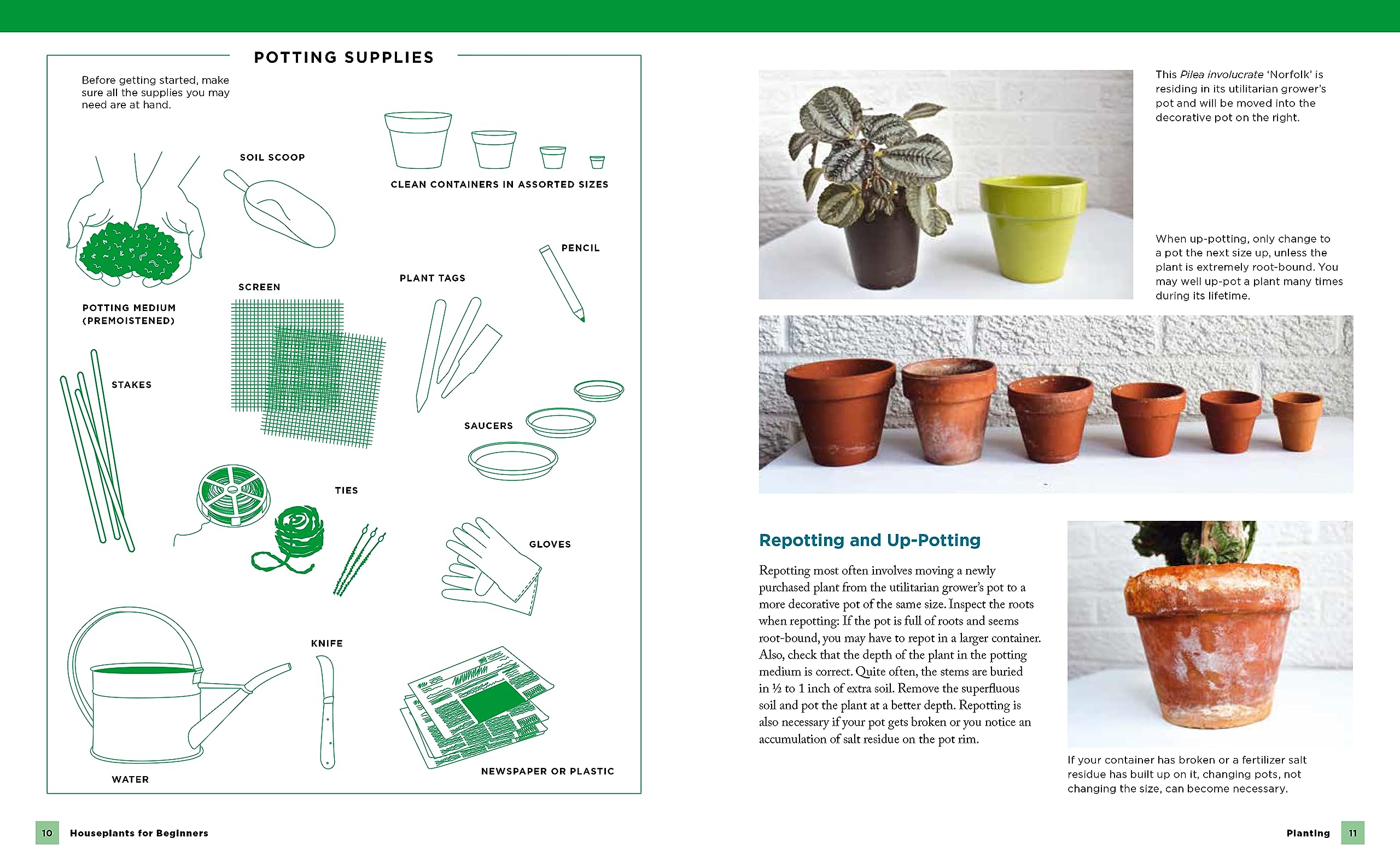 Houseplants for Beginners: A Simple Guide for New Plant Parents for Making Houseplants Thrive (New Shoe Press) - Image 3