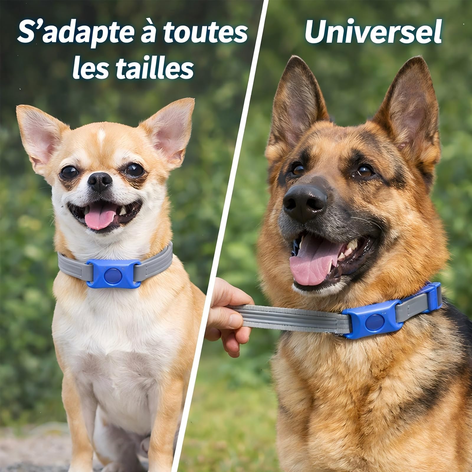 Collier Anti Puces pour Chien, RéGlable Collier Chien, Pendentif RéPulsif Aux Huiles Essentielles avec 2 Capsules RemplaçAbles, éTanche, Durable (Rose,2pcs)