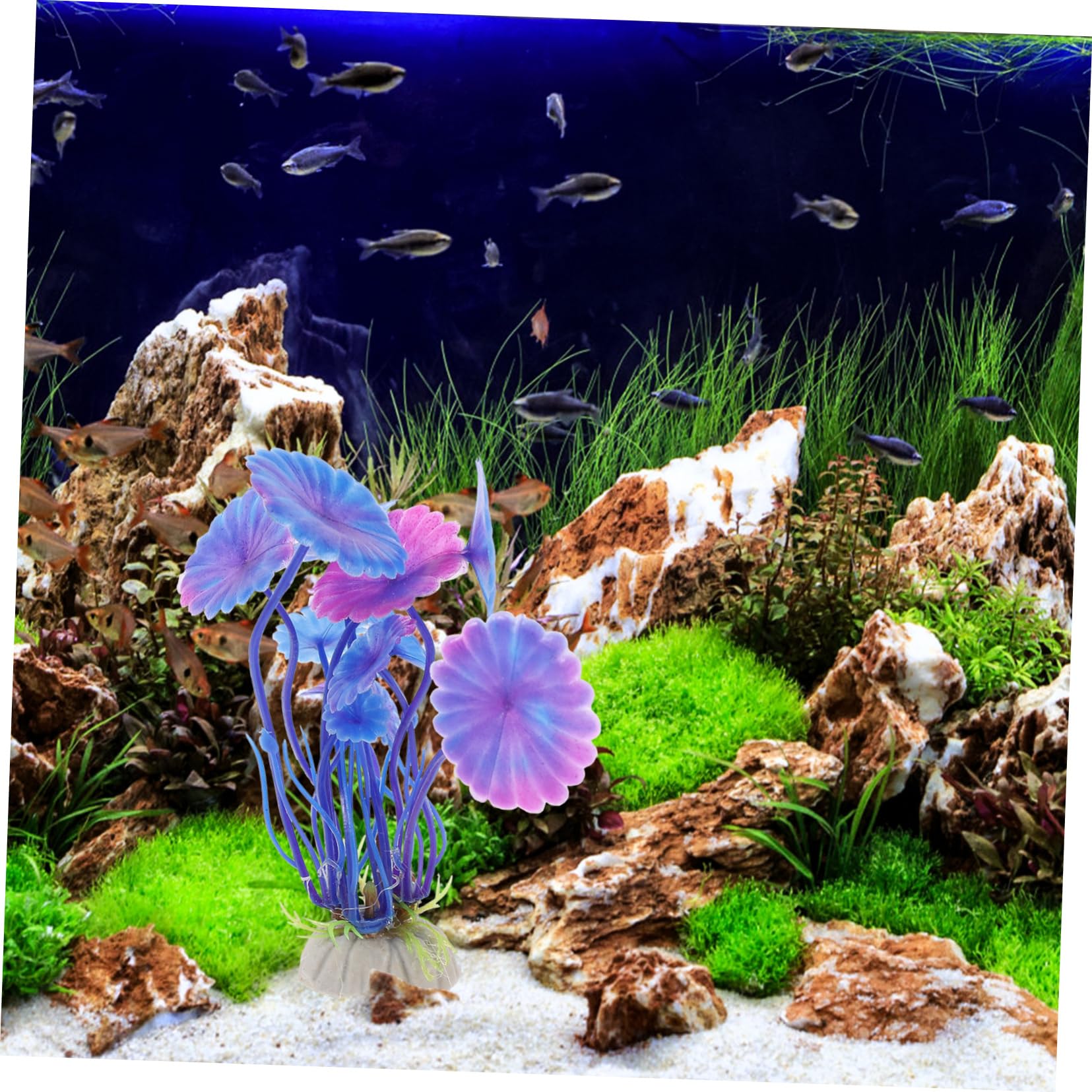 BESPORTBLE 56stücke Teiliges Set Künstlichen Wasserpflanzen Für Aquarien Dekoration Für Fisch Und Reptilienbecken Pflegeleichtes Zubehör Sicherem Kunststoff