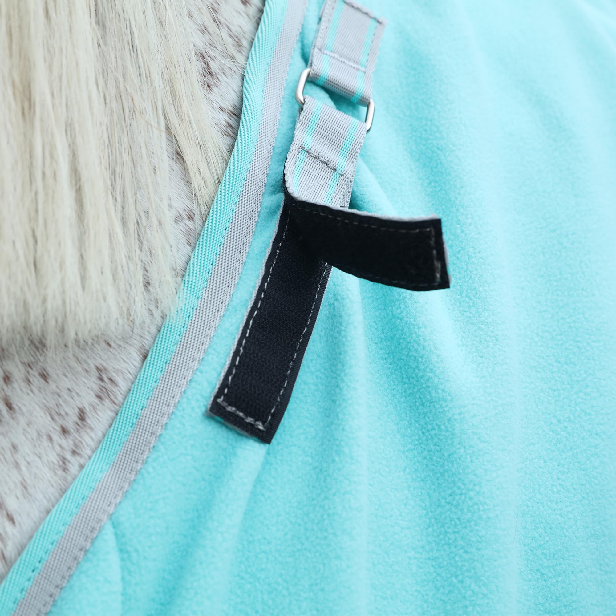 Abschwitzdecke Pferd mit Kreuzbegurtung & Schweifriemen – 300 g/m² Fleece mit Widerristpolster – Schweißabsorbierend & Schnelltrocknend – Pferdedecke für Training, Stall & Transport
