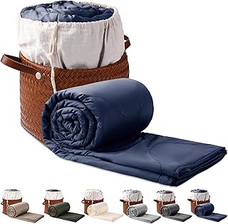 Silk Comforter Queen Size | 100% Mulberry Silk Fill with Organic Bamboo Viscose Shell | Summer Cooling Blanket for Hot Sleepers, Lightweight Breathable All-Season Bedding (Blue, 90"x90")