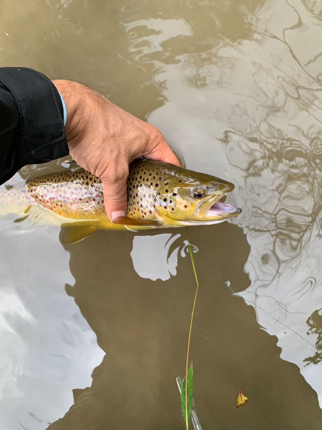 Mepps Lures For Red Wolf Trout Lure Kit, 80-pc Canadian Tire