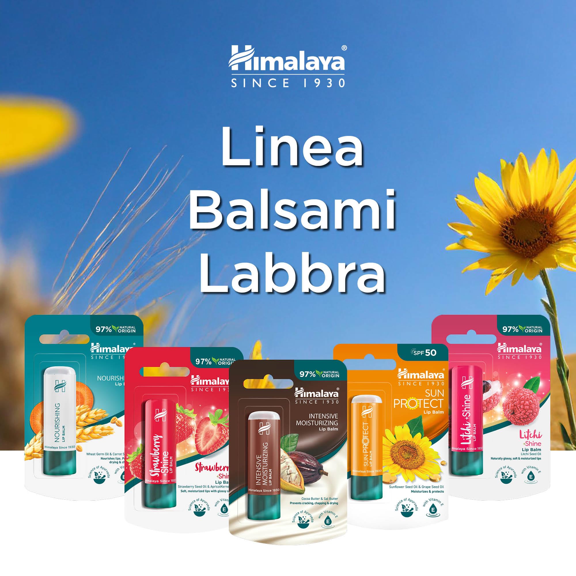 Himalaya Sun Protect Balsamo per labbra con SPF 50 e protezione dai raggi UVA, protegge le labbra dai danni del sole, 4,5g, Confezione da 1, Sun Protect 4.5g, Confezione singola