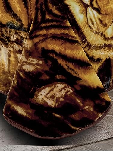 Vista 139 de Chezmoi Collection Manta pesada de una sola capa, 9 libras, estilo coreano, de visón Raschel, gruesa y sedosa, 26.46 oz/m², 85 x 95 pulgadas