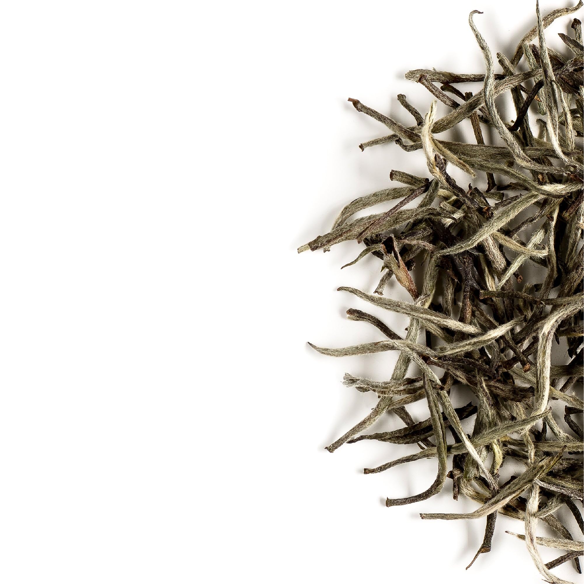 Baihao Yinzhen Thé Blanc Chine - Aiguilles D'argent Thé Chinoise - Silver Needle - Bai Hao Yin Zhen 15g | aux arômes délicats de miel et de fleurs pour une dégustation raffinée
