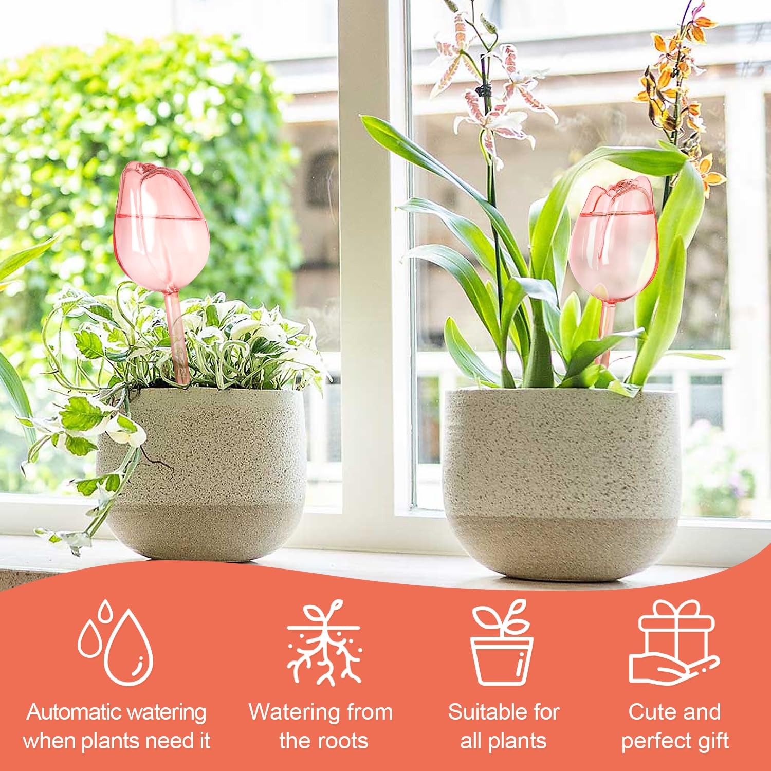 SL-JIJI Premium Glass Plant Watering Bulbs, Automatic Self-Watering Globes for Indoor & Outdoor - Image 2