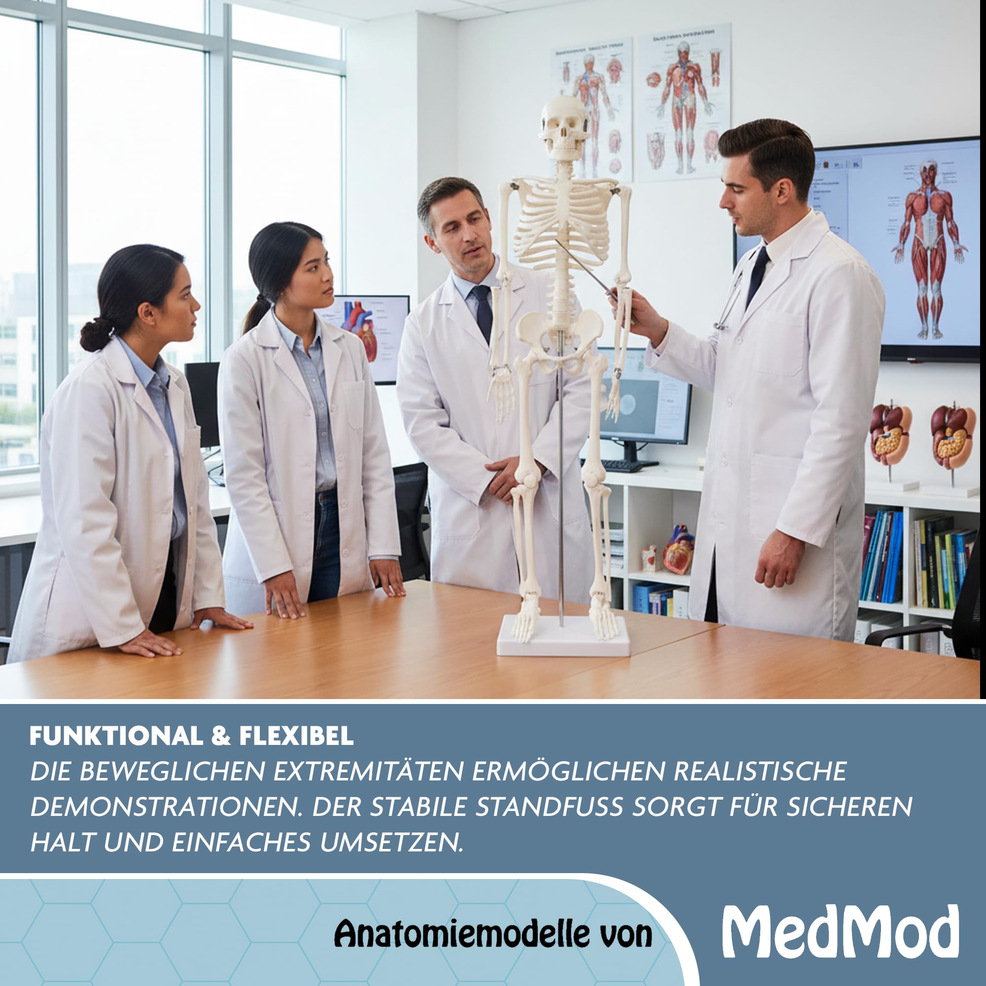 Anatomie Skelett 87 cm, detailliertes menschliches Skelett aus Kunststoff mit beweglichen Extremitäten, für Schule, Studium und Anatomie-Training, Lehrmodell
