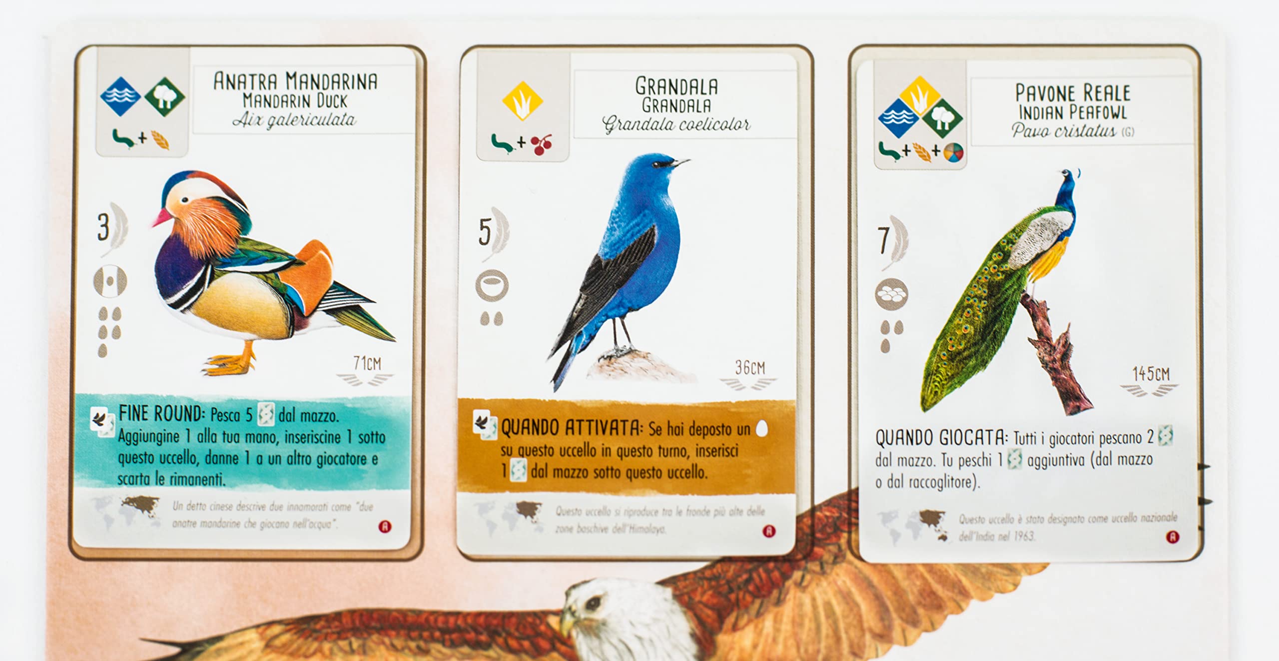 Wingspan - Asia - Gioco Autonomo per 1-2 Giocatori o Espansione per 6-7 Giocatori -14+ Anni - 1-5 Giocatori - 70 Minuti - Edizione Italiana