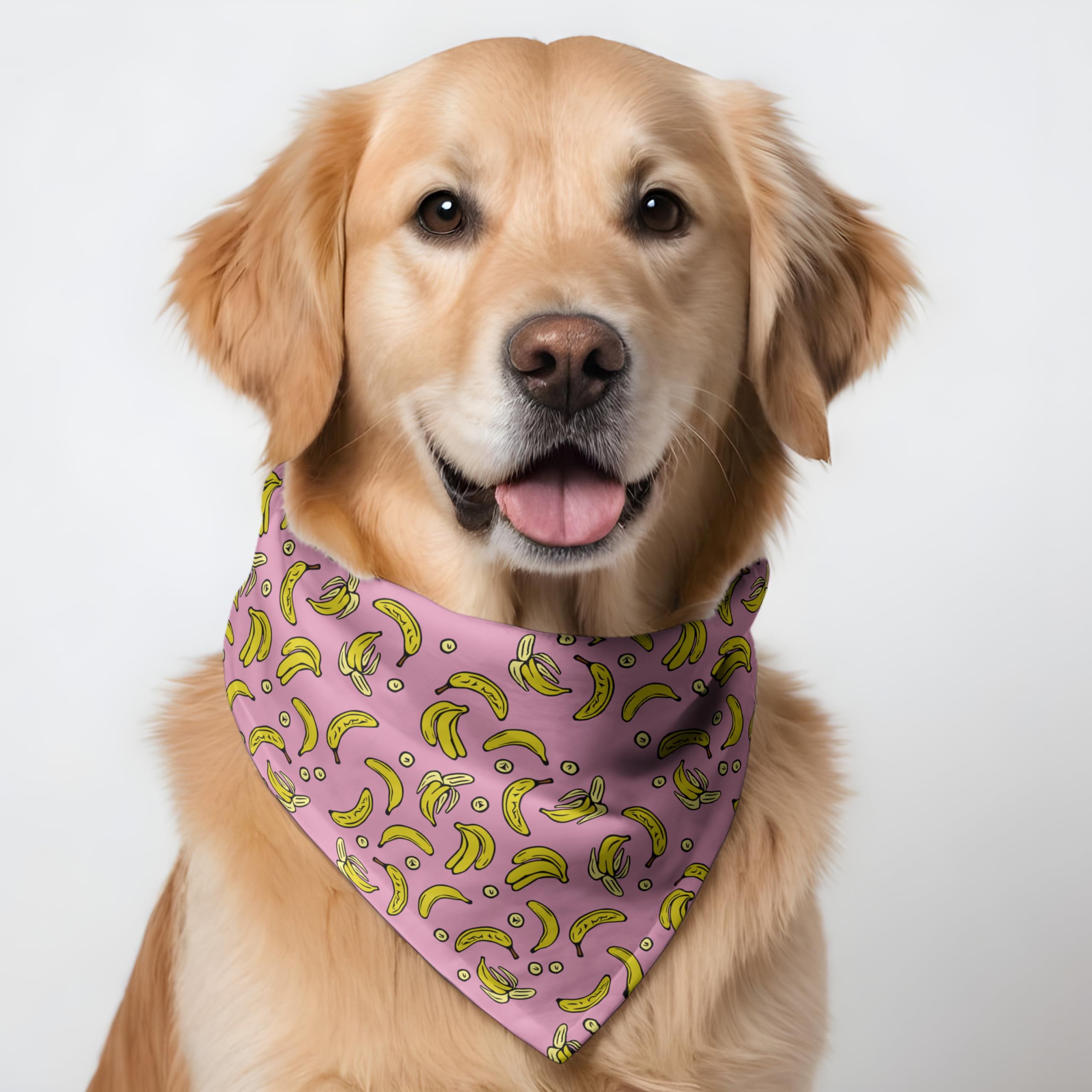 W Brings Dog Bandana (Go Banana) | This Stunning Gorgeous Design Dog Bandana Scarf is Perfect Styling Accessory for Dogs Large, Medium & Small. One Size Fits All. (B0136WK4OU) Amazon Price History, Amazon Price Tracker
