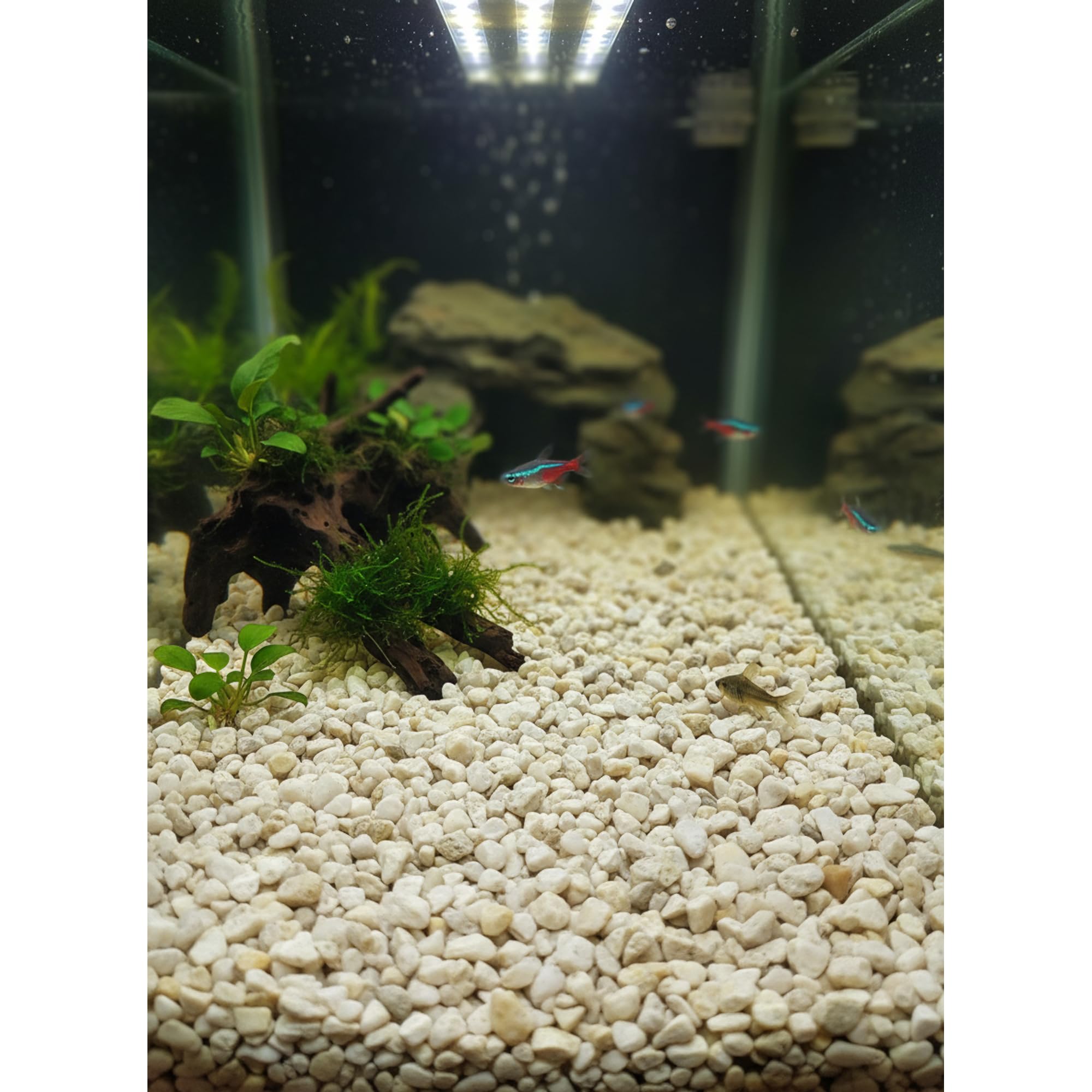 25 kg Gravillon de Quartz Blanc 8-16 mm