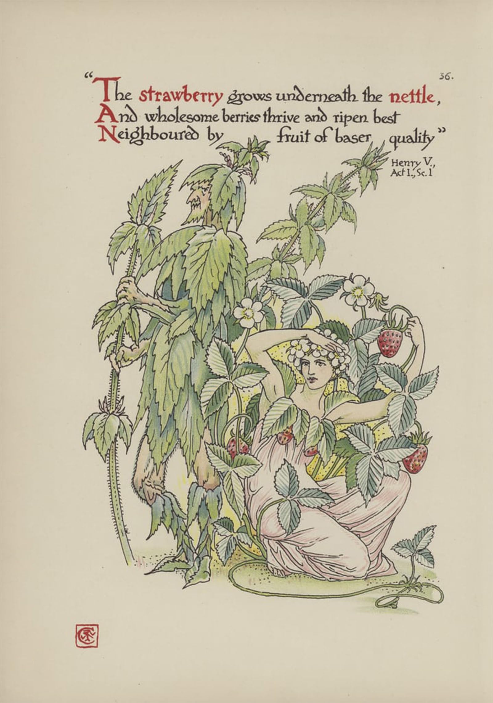 ARTXLXXBN Famous Print Painting Colorful Art Print Flowers From Shakespeares Garden by Walter Crane Canvas Art Decorations for Home Decor 60x90cm