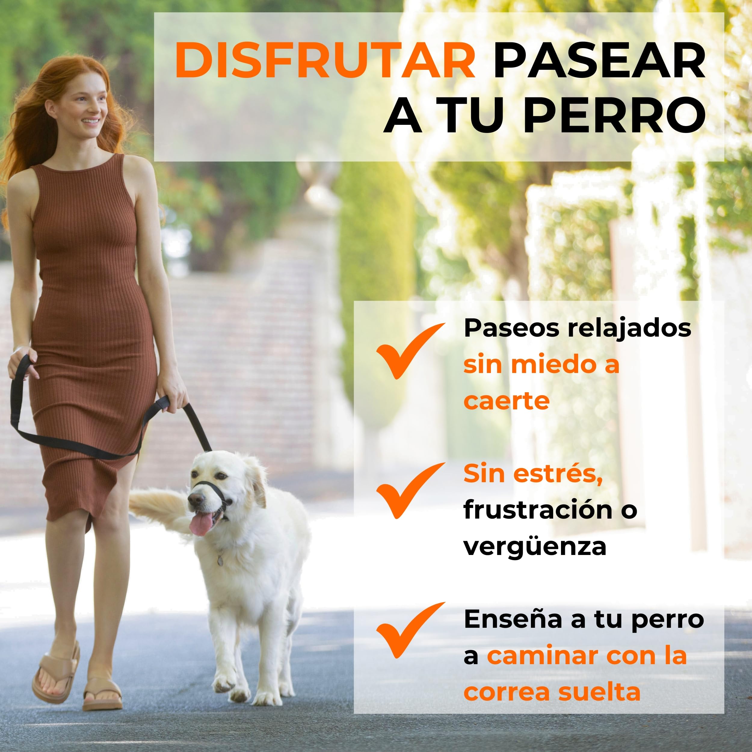 Canny Collar – Collar Antitirones de Cabeza para Perros Que Tiran | Arnés de Entrenamiento Suave y Seguro | Paseos Tranquilos sin Tirones – Azul, Talla 5