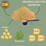 Ver la foto 4
