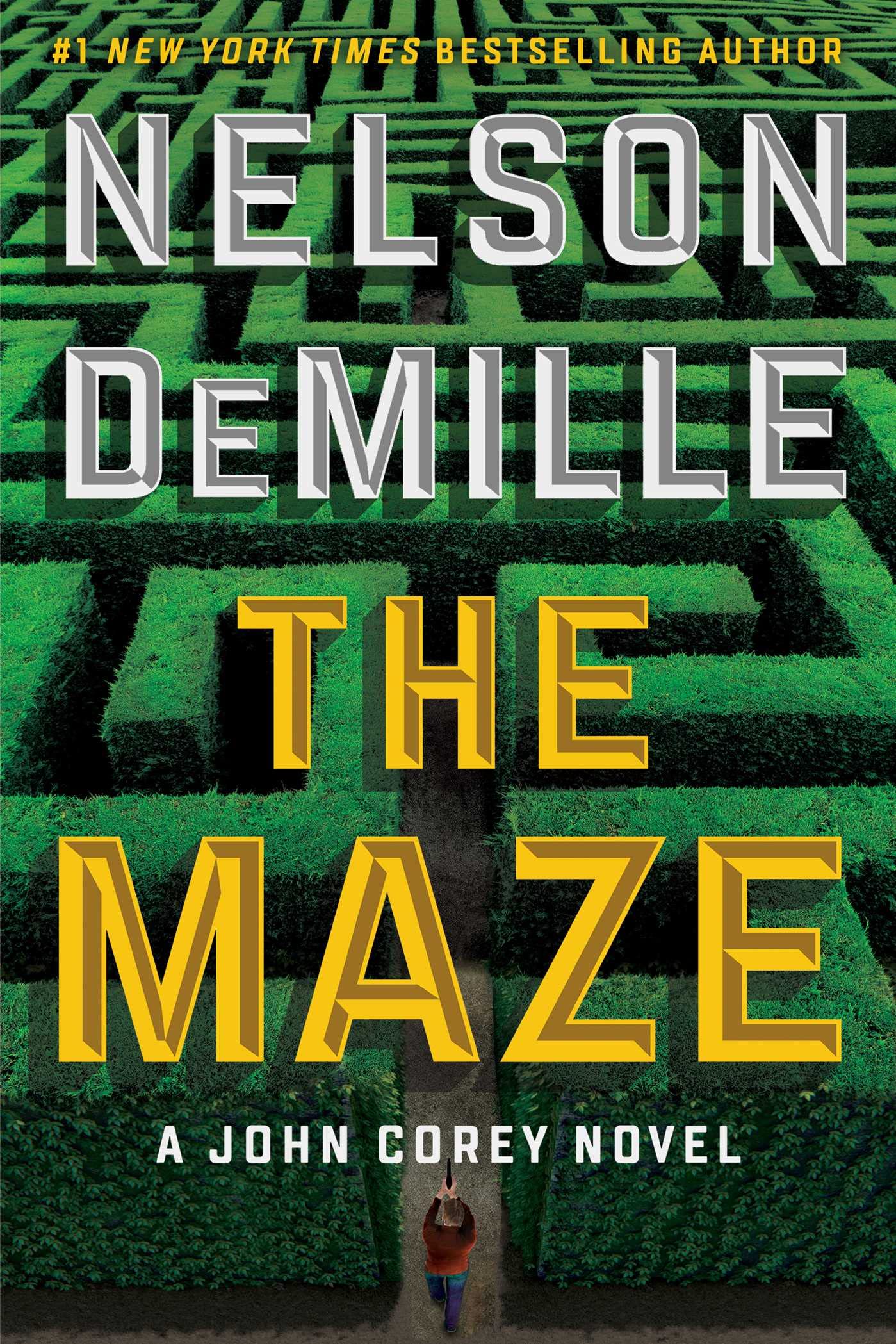 Cover of The Maze (Volume 8)