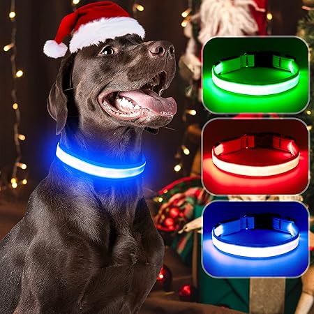 PetSol LED Dog Collar In Red USB Rechargeable Flashing Light Safety - Foto 10