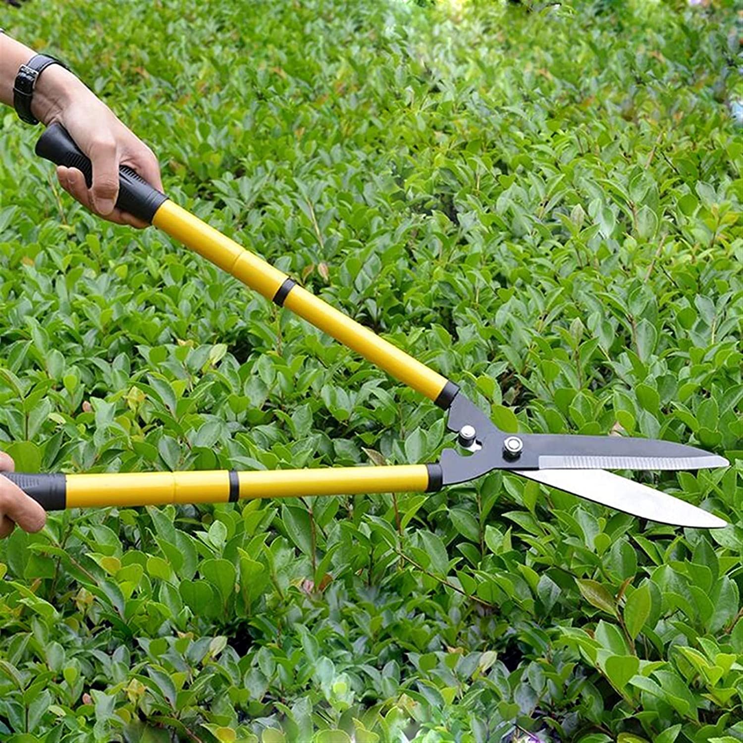 Tijeras de podar Herramientas de podar Herramientas de poda de Mango Largo Herramienta de poda de jardín Herramientas de Corte de Ramas Tijeras de podar Herramientas de Corte de árboles Podadora