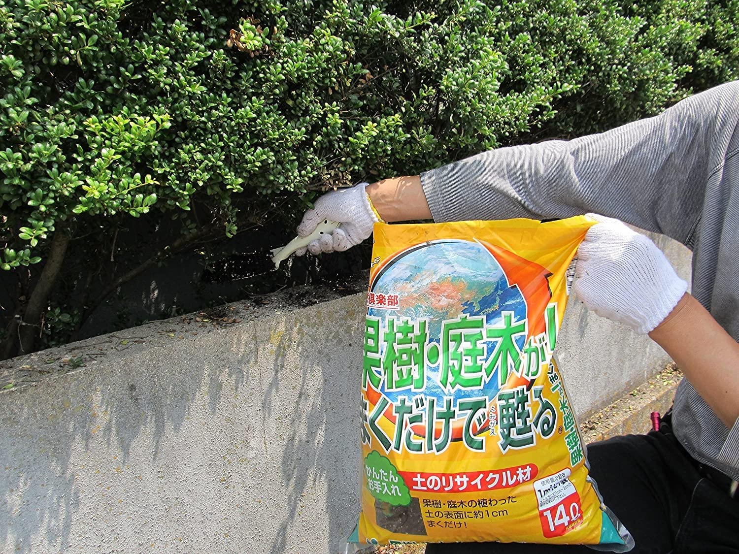 Amazon.co.jp: Shizen Oyo Kagaku (Applied Natural) Maku