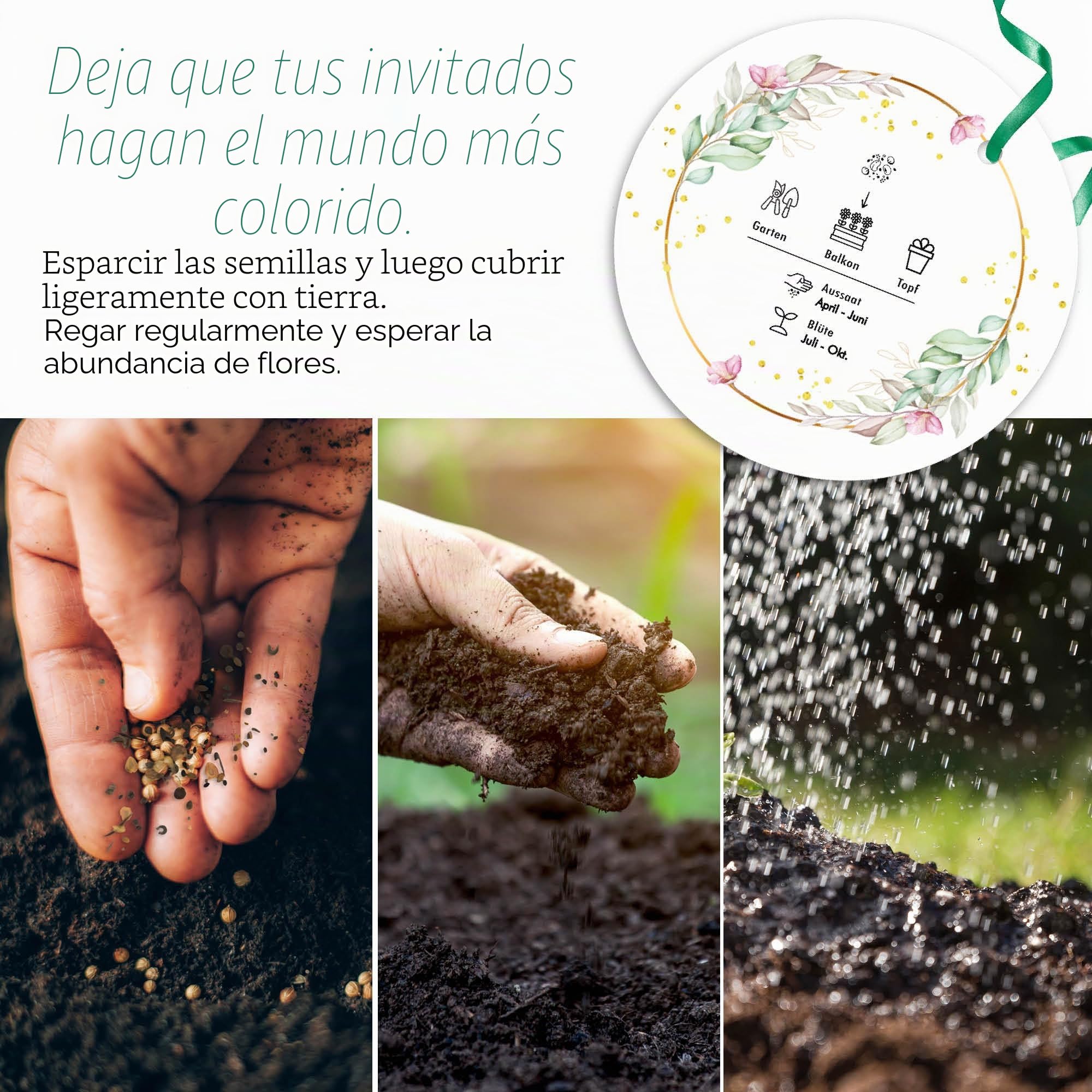 Tubos de ensayo con semillas de flores como regalo para bodas – Regalo especial de boda para invitados como regalo – Deja crecer nuestro amor, juego completo (juego de 100)