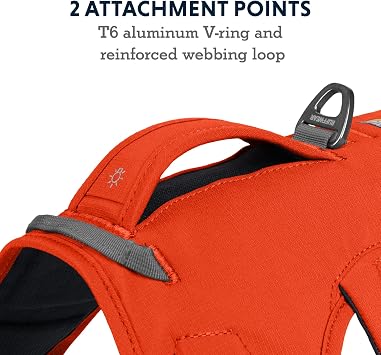 RUFFWEAR Web Master Dog Harness, Padded, Anti-escape Dog Harness with lifting Handle for Everyday Adventures, 2 Lead Attachments, Size: XX-Small (33-43cm), Hi Vis Blaze Orange