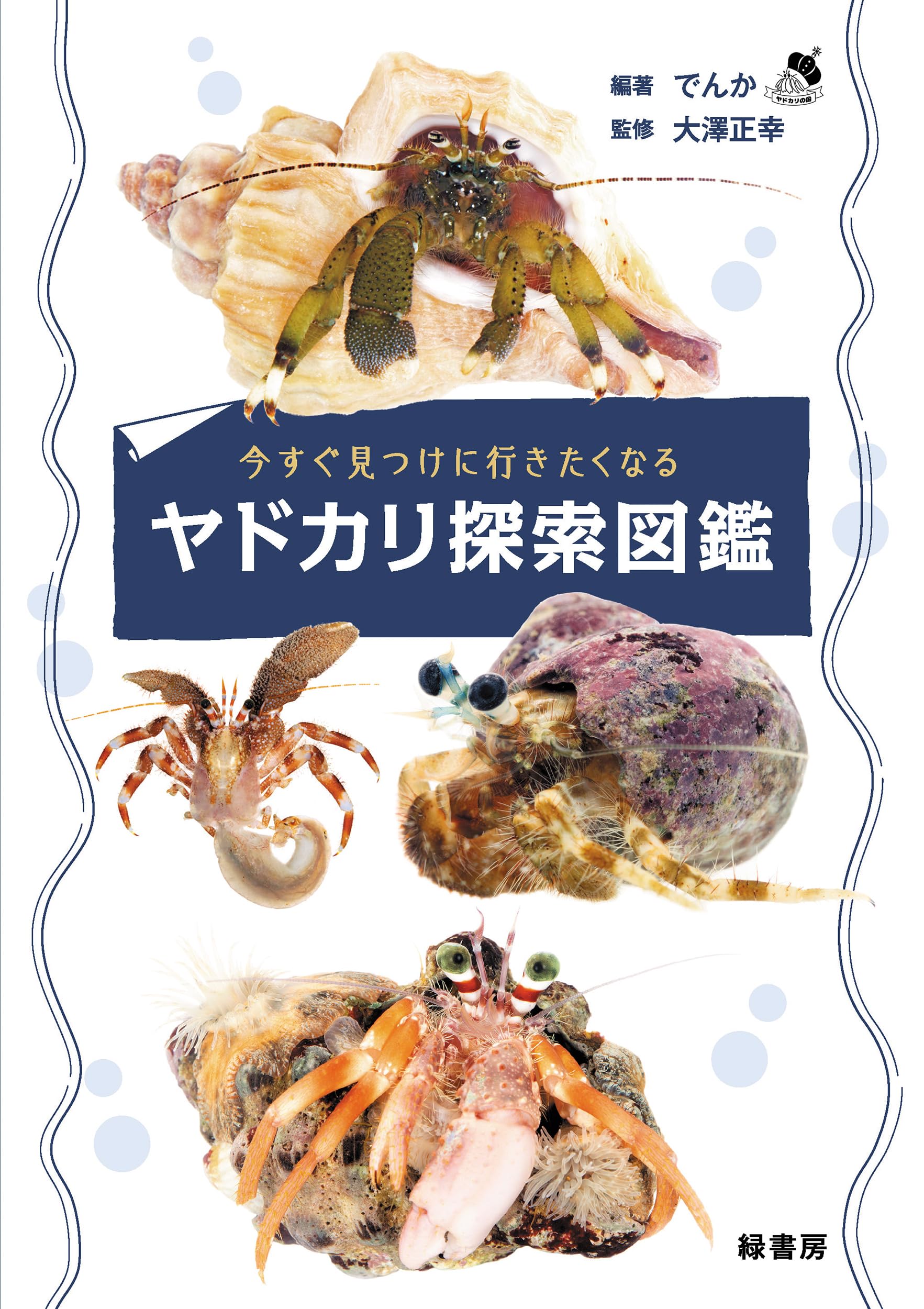 原色検索　日本海岸動物図鑑　1 原色検索日本海岸動物図鑑 1 | 西村 三郎 |本 | 通販 | Amazon