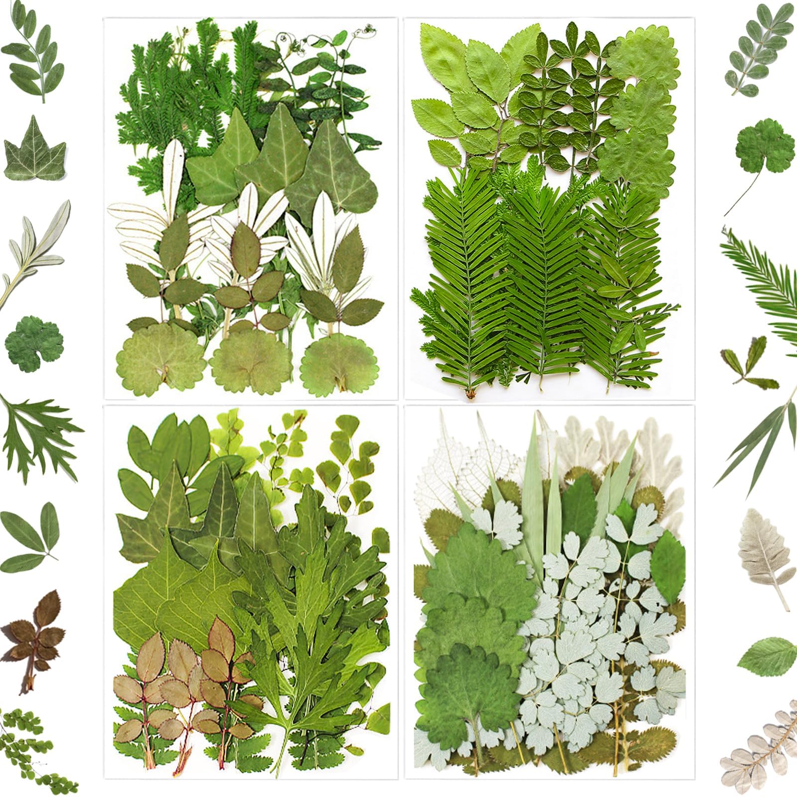 MIKIYA 84Pcs Pressed Dried Leaves