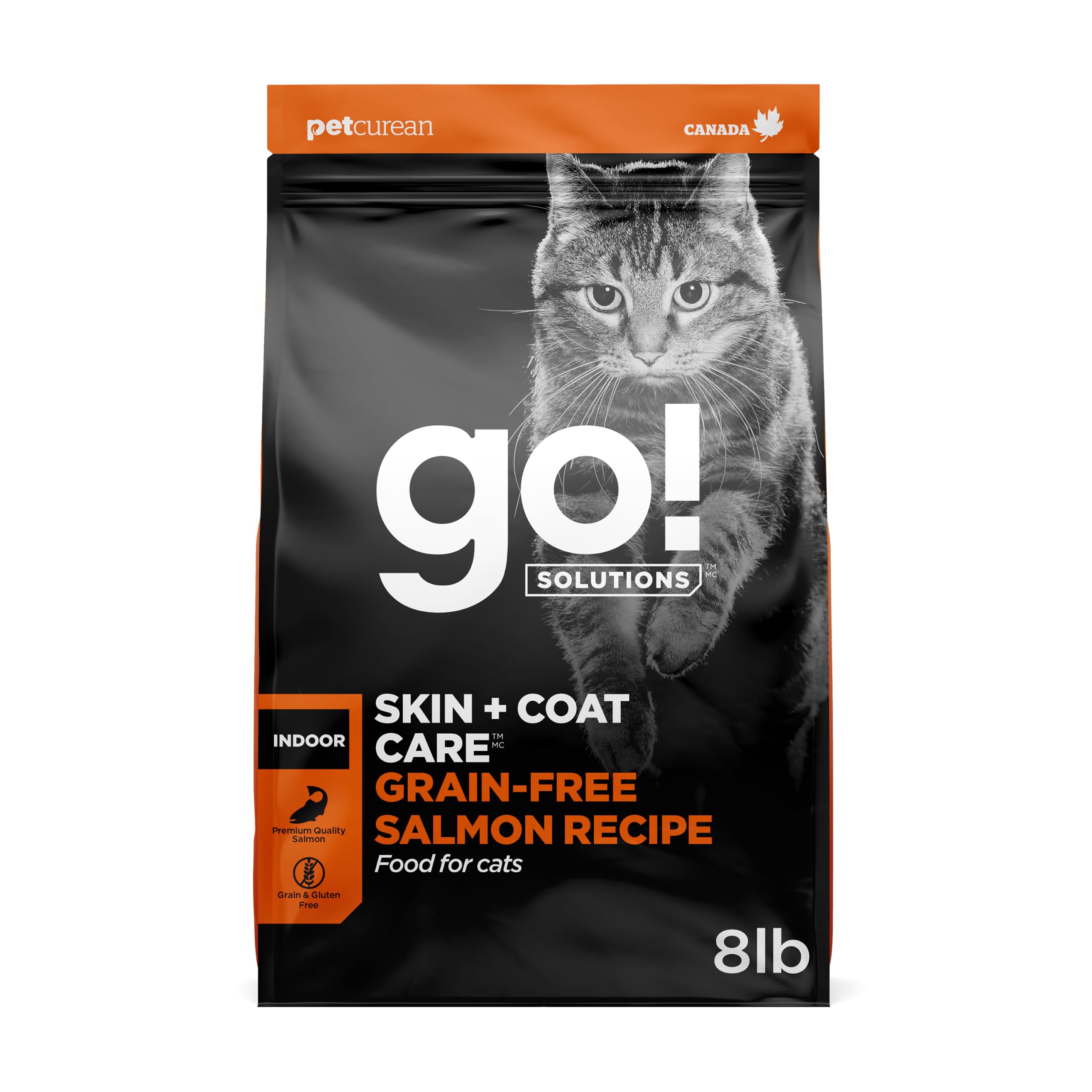 Go Solutions Skin and Coat Care Salmon Dry Cat Food