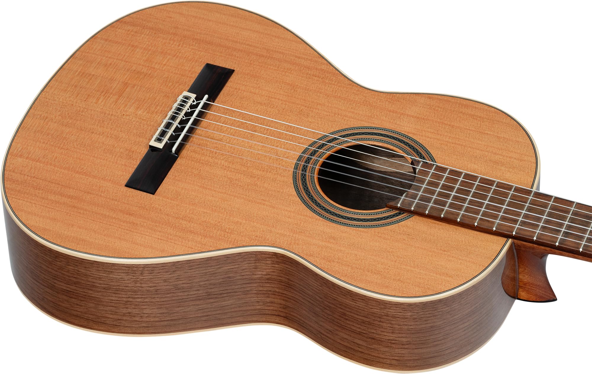 Ortega Traditional Series - Chitarra con corde in nylon, realizzata a mano in Spagna, con manico sottile e custodia professionale (R20GSNWN)