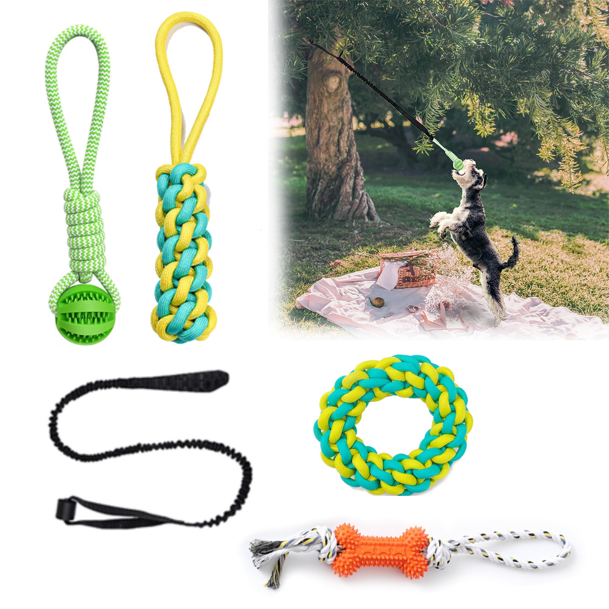 Bungee Tug Toy for Dogs with 4PCS Dog Chew Toys, Interactive Tug of War Dog Rope Toys Hanging from Tree, Dental Clean Chewer Ball Bone for Small to Large Dogs Outdoor/Indoor Exercise