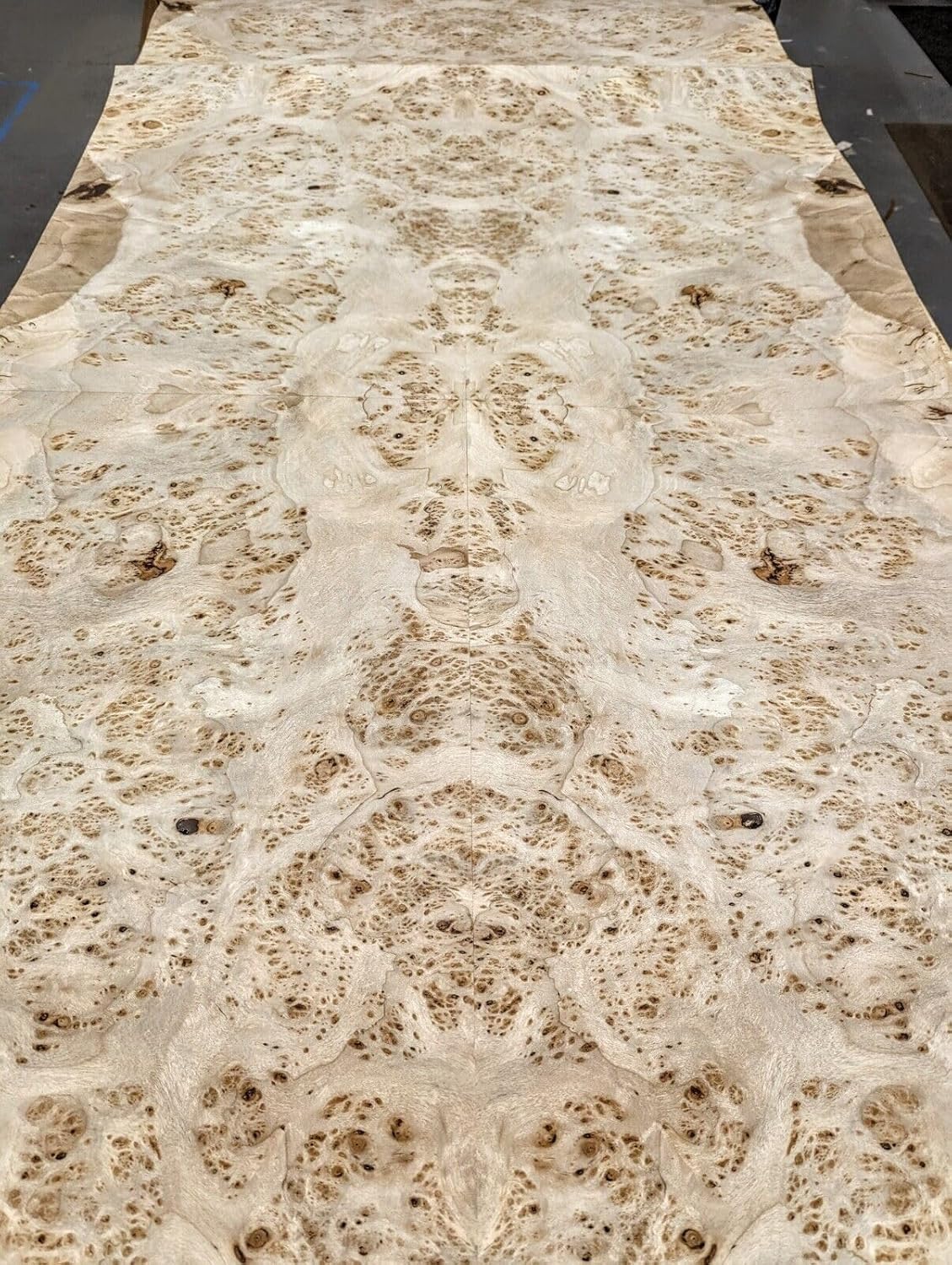 Carpathian Elm Burl Wood Veneer 48" x 108" with Paper Backer AA Grade 1/40"