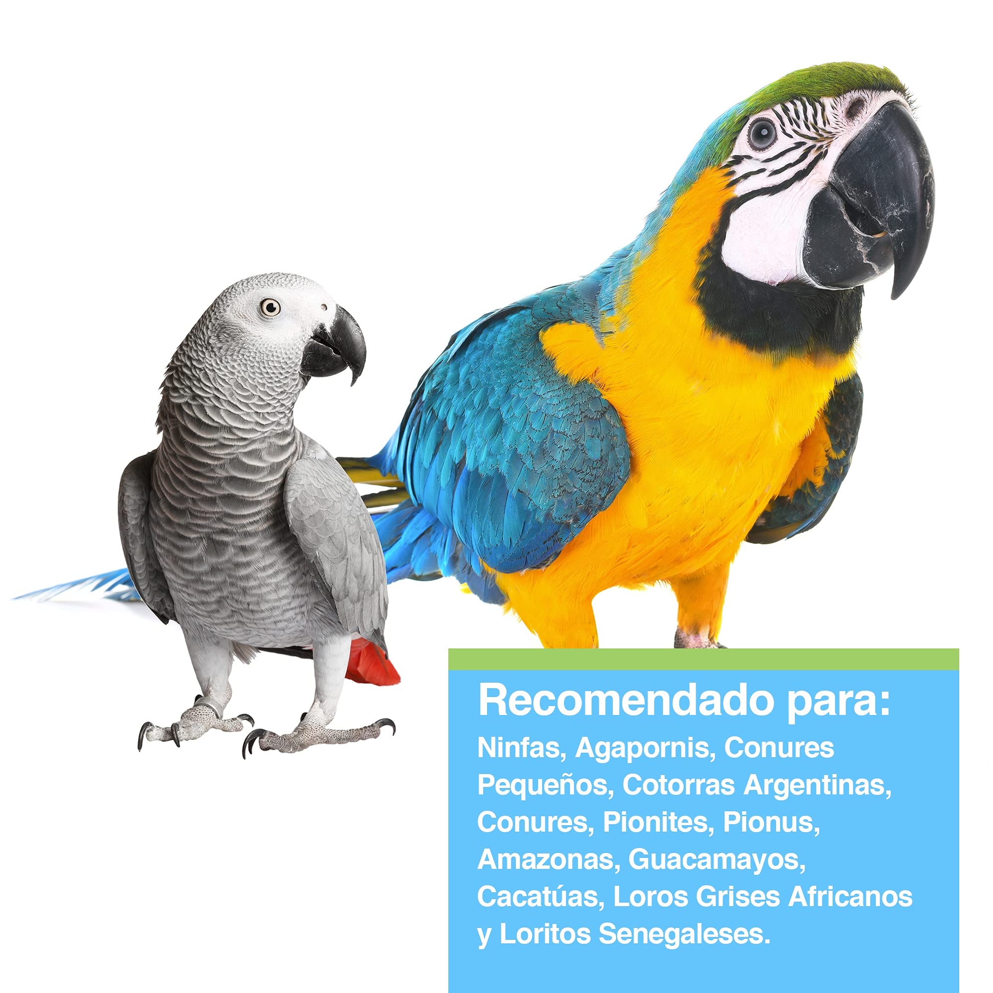 Tropican Alta Energía 11'34Kg Gránulo 4mm Pienso para Loros, Guacamayos, Cotorras y Ninfas | Hagen - Comida para loros con maní y semillas de girasol, gránulos de loro