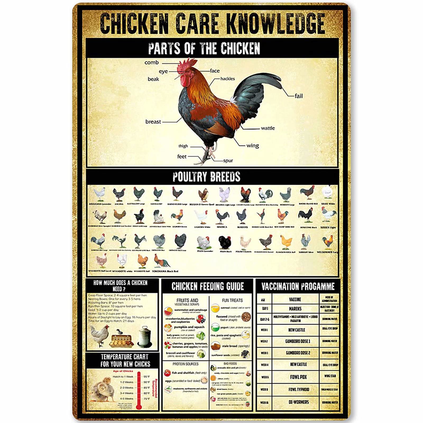peiyeety QSHPO Chicken Care Knowledge Posters Information Science Guide Metal Signs Room Club Farm Decor Wall Decor Retro Plaque es 8"x12"