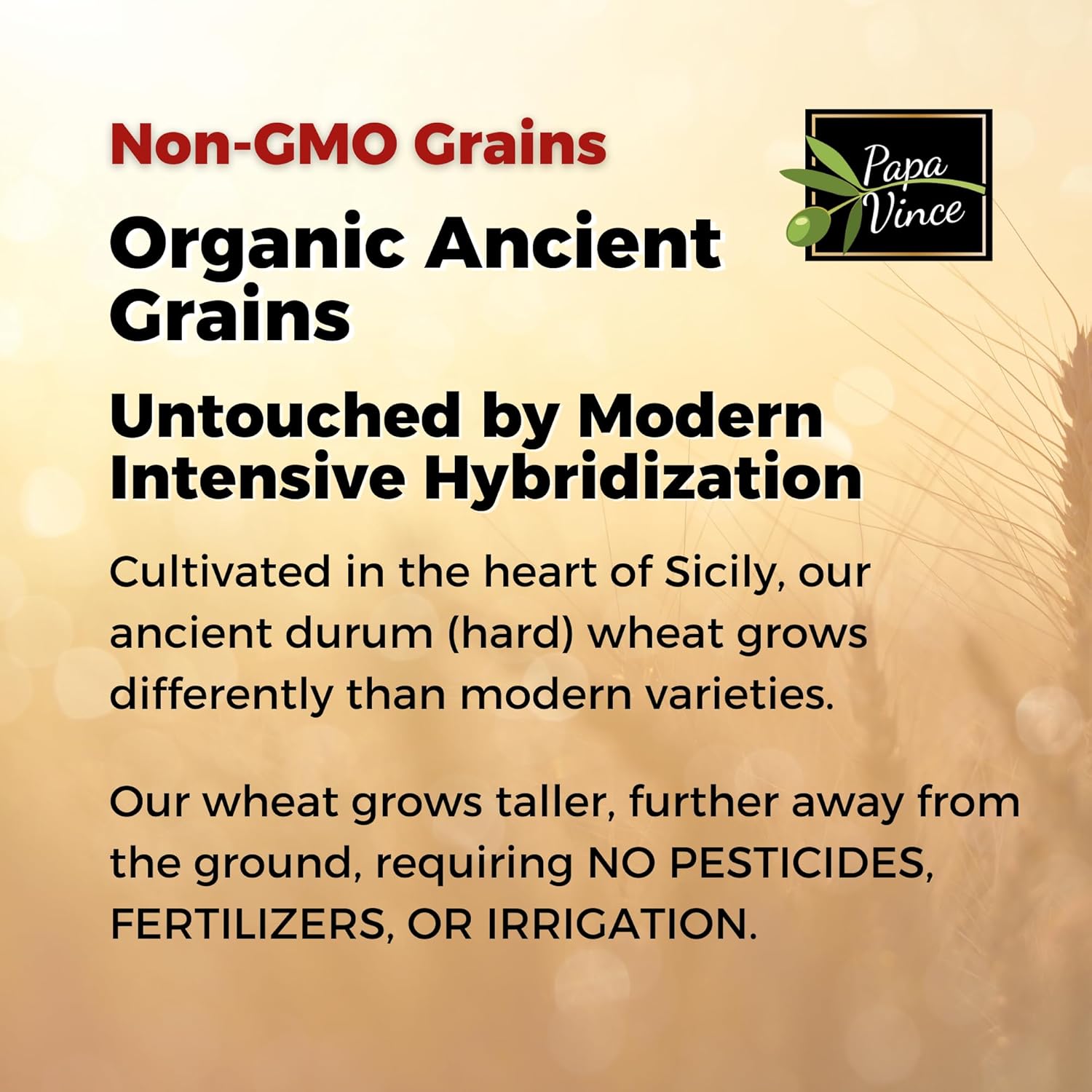 Papa Vince Organic Diabetic Friendly Pasta: Low GI Organic Whole Wheat Italian Pasta Made in Italy from Ancient Heirloom Grain. High Fiber, Slow Carb, Slow Dried, Bronze Cut, Non Enriched (Tagliatelle)