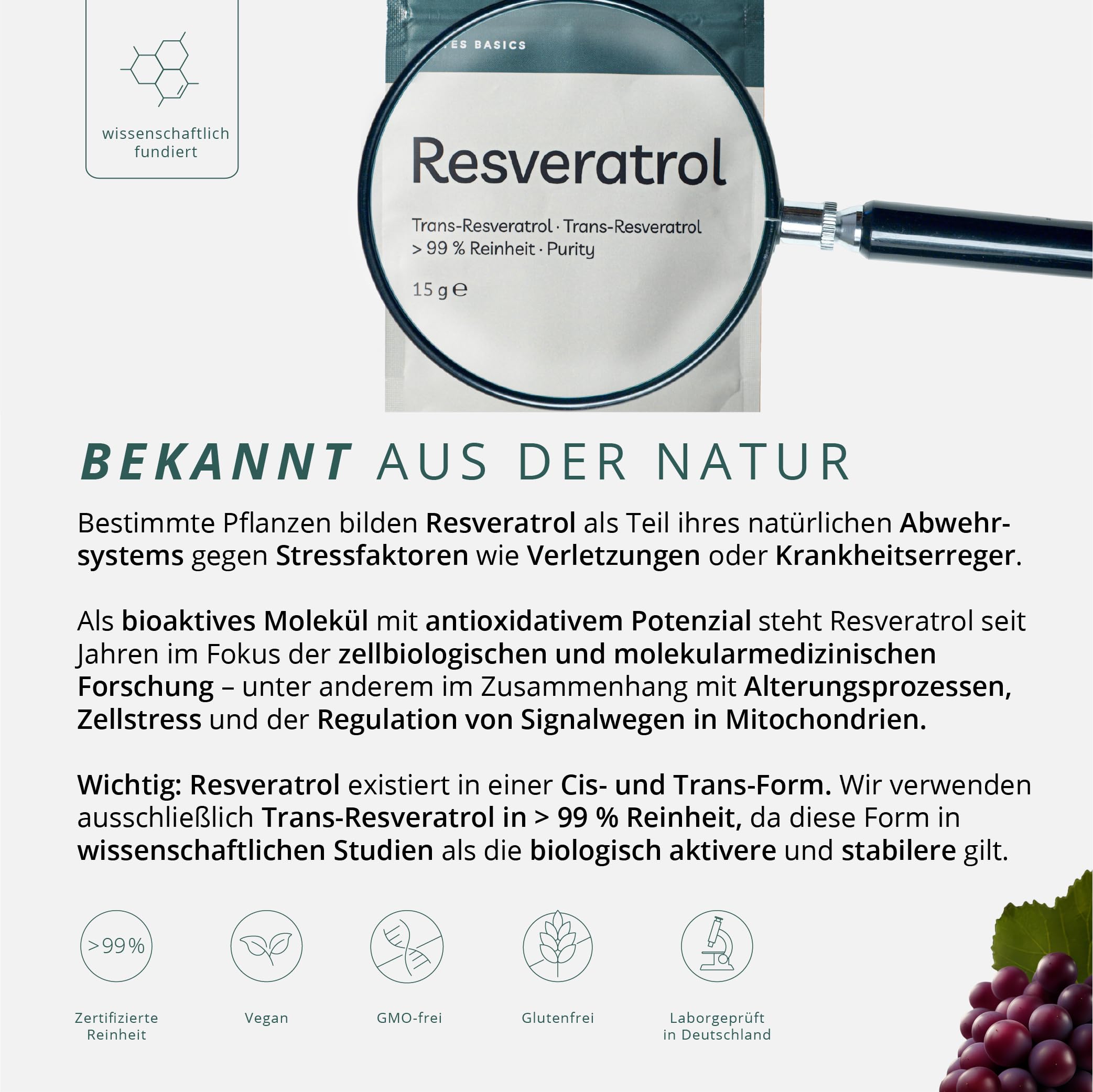 Polvere Trans-Resveratrolo – 3 confezioni da 15 g in confezione da 1 mese, ha un effetto antiossidante e immunitario di supporto | Vegano e senza glutine – Senza ingegneria genetica e senza