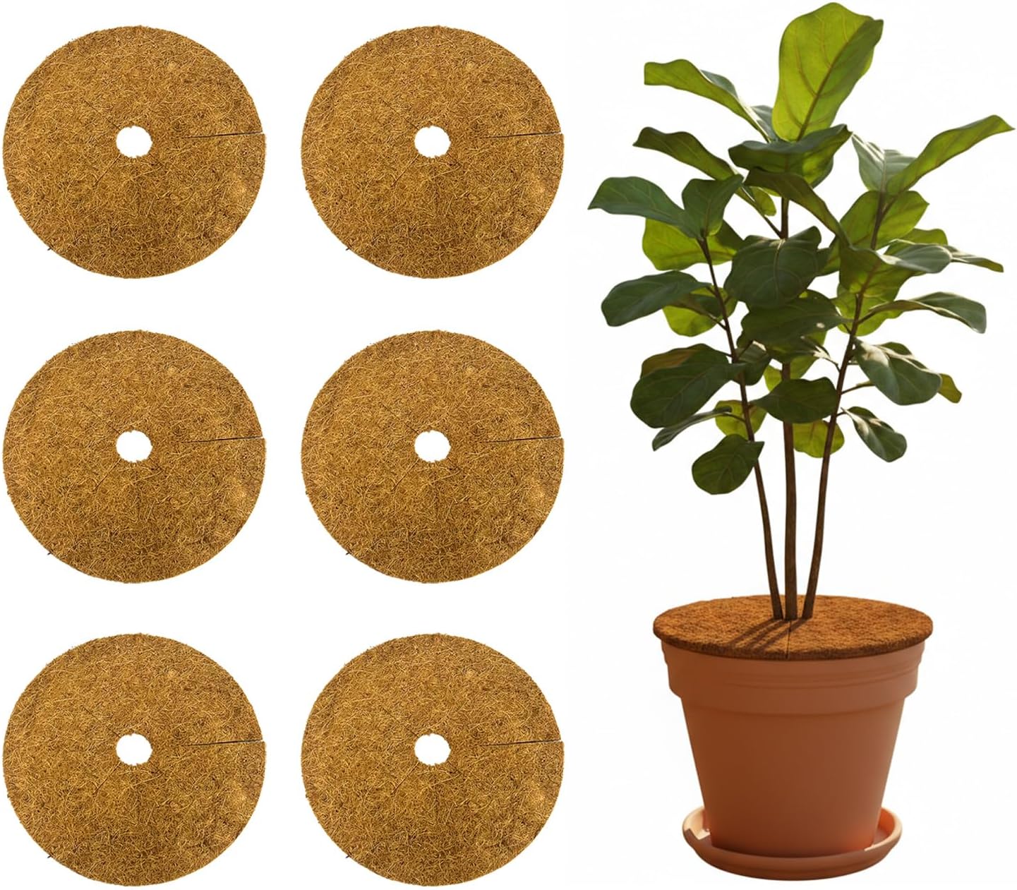 Coco Coir Mulch for Landscaping, 16 Inch Coconut Liners for Planters, 6 Pcs Coconut Fiber Tree Ring, Plant Covers from Animals,Dirt and Tree Protectors
