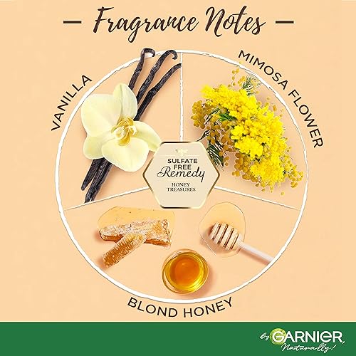 Miniatura 4 de Garnier Whole Blends - Juego de champú y acondicionador sin sulfato Honey Treasures para cabello muy dañado con muestra, 12 onzas líquidas, 1 kit