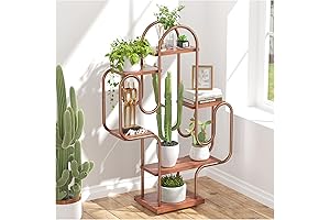 Allinside Cactus Corner Bookshelf: A Verdant Statement Piece