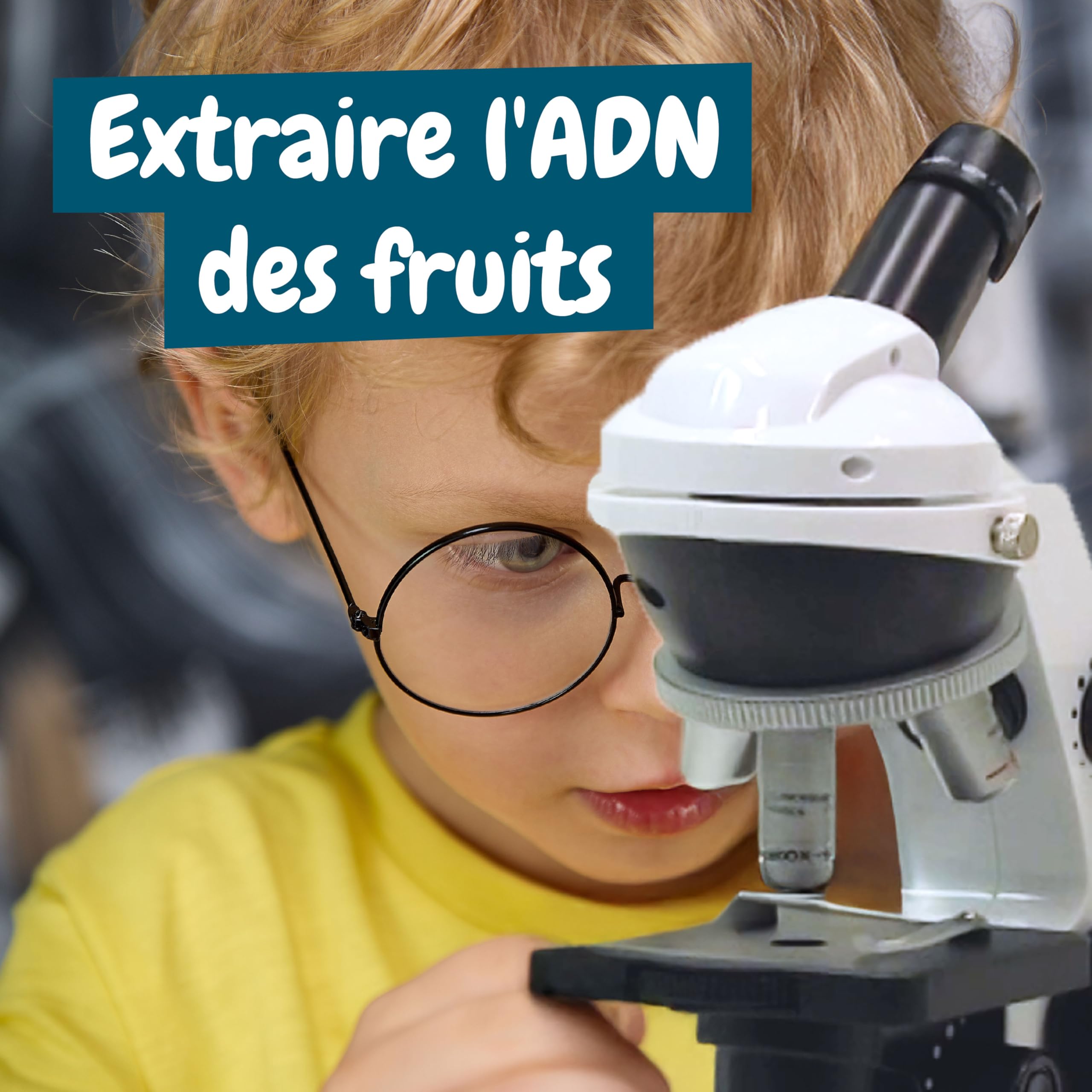 CLEMENTONI Science & Jeu - Mon premier microscope - Jeu scientifique sur marjane CLEMENTONI Science & Jeu - Mon premier microscope - Jeu scientifique sur marjane