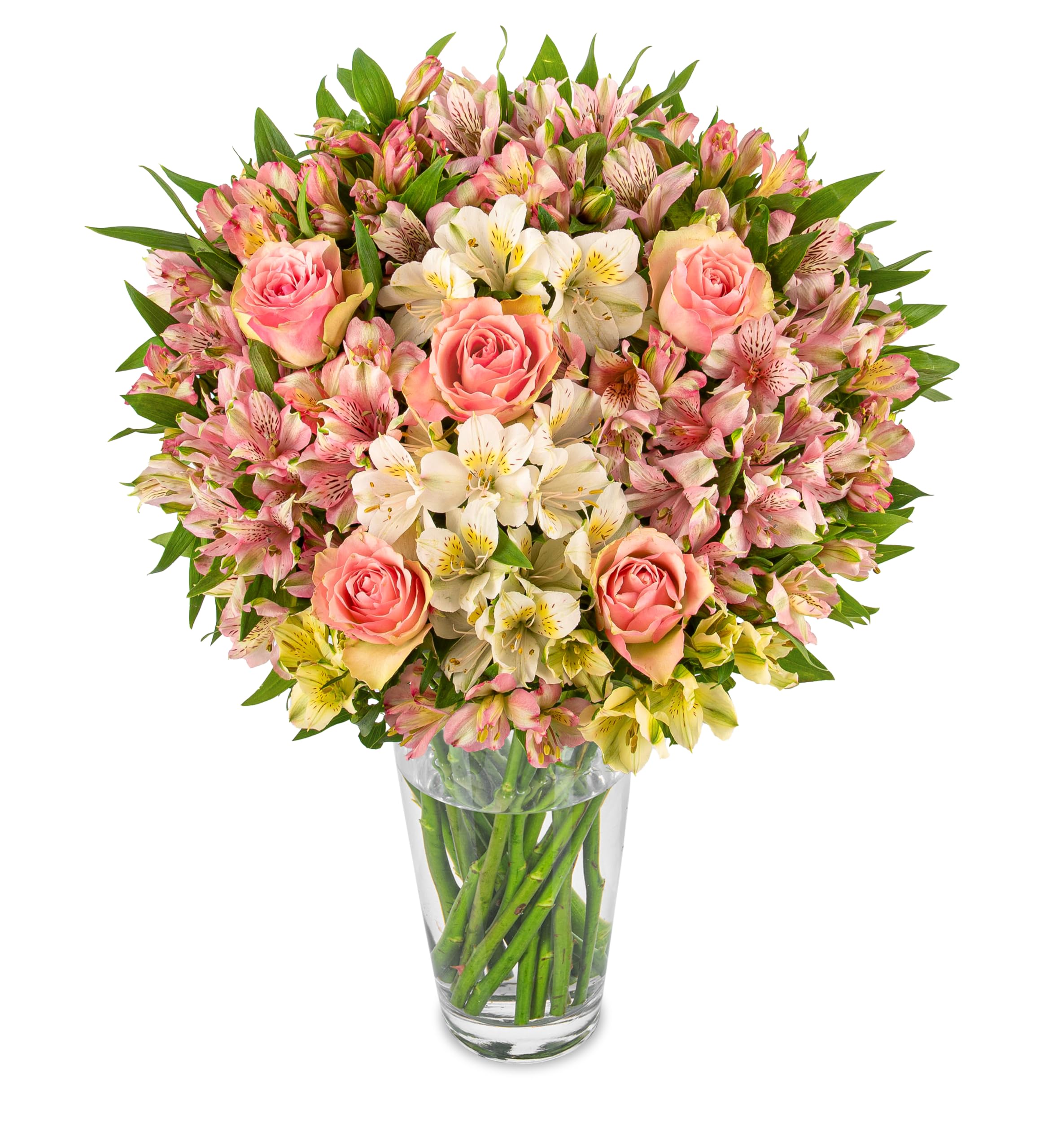 Alstro & Roses Fresh Cut Flower Bouquet - Perfect for gifting for any occasion, birthdays, anniversaries, celebrations - Premium Flowers for delivery (Large)