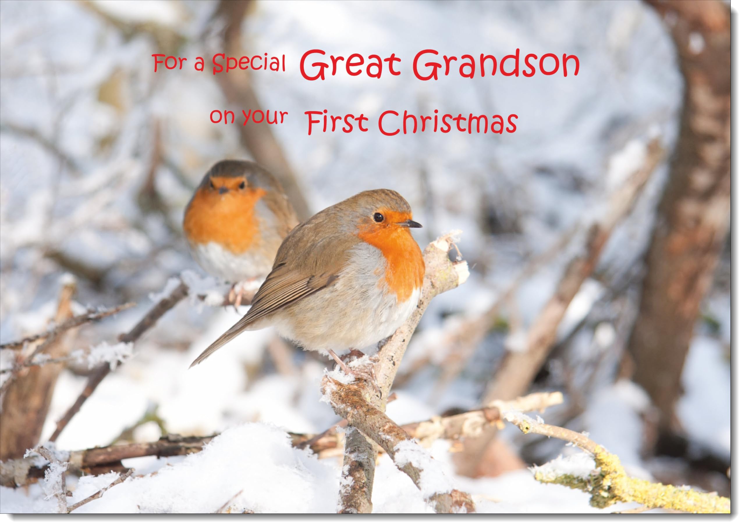 doodlecards Great Grandsons 1st First Christmas Card Two Robins in Tree Large A4 Size Christmas Card for Great Grandsons 1st with Plain Envelope