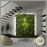 Indoor Plants Ideas