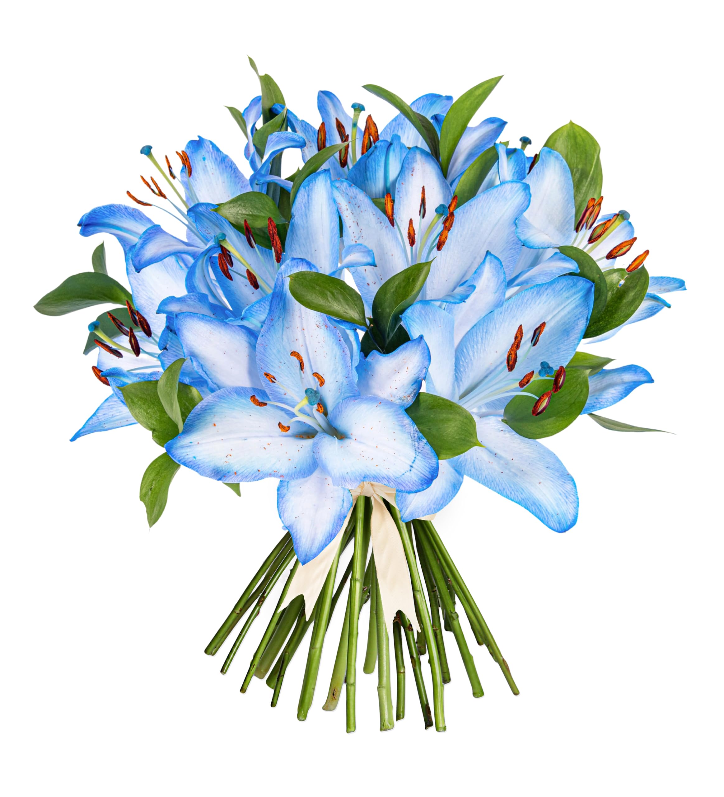 Ocean Lilies - Fresh Flowers - Birthday, Anniversary, Get Well, Thank You, Occasion Flower - Cut Floral Arrangement for Gifts - Medium