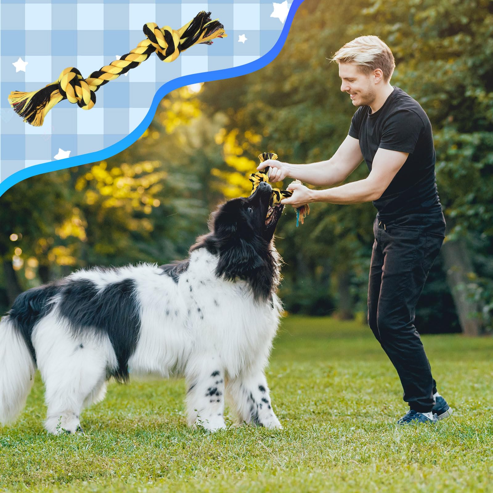 Wettarn 15 Stück Hundespielzeug für aggressive Kauer, robuste Baumwoll-Hundeseilspielzeug, Hundespielzeug, robustes Hundespielzeug für mittelgroße große Hunderassen, Welpenzahnreinigung, 5 Arten
